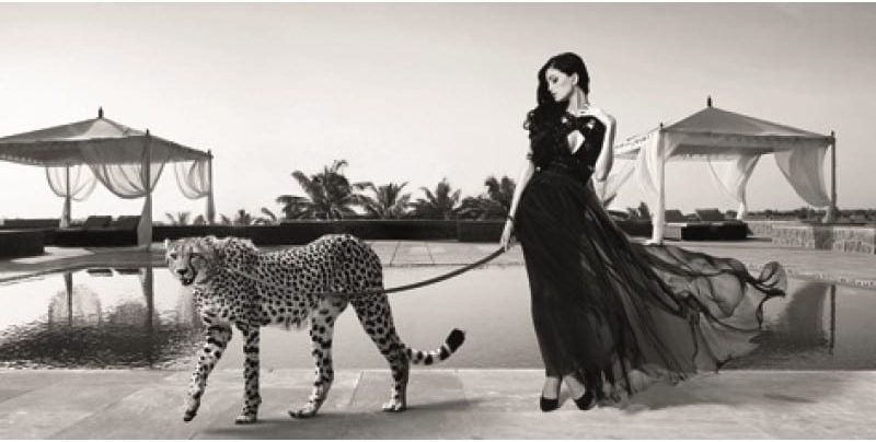 Schilderij Leashed Beauty