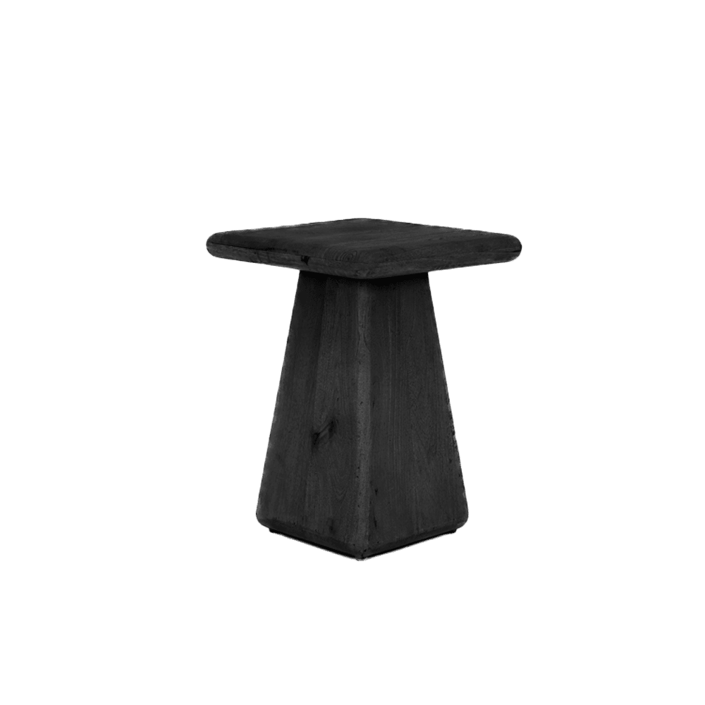 Tower Living bijzettafel Asti 40x40x55 cm vierkant mangohout zwart