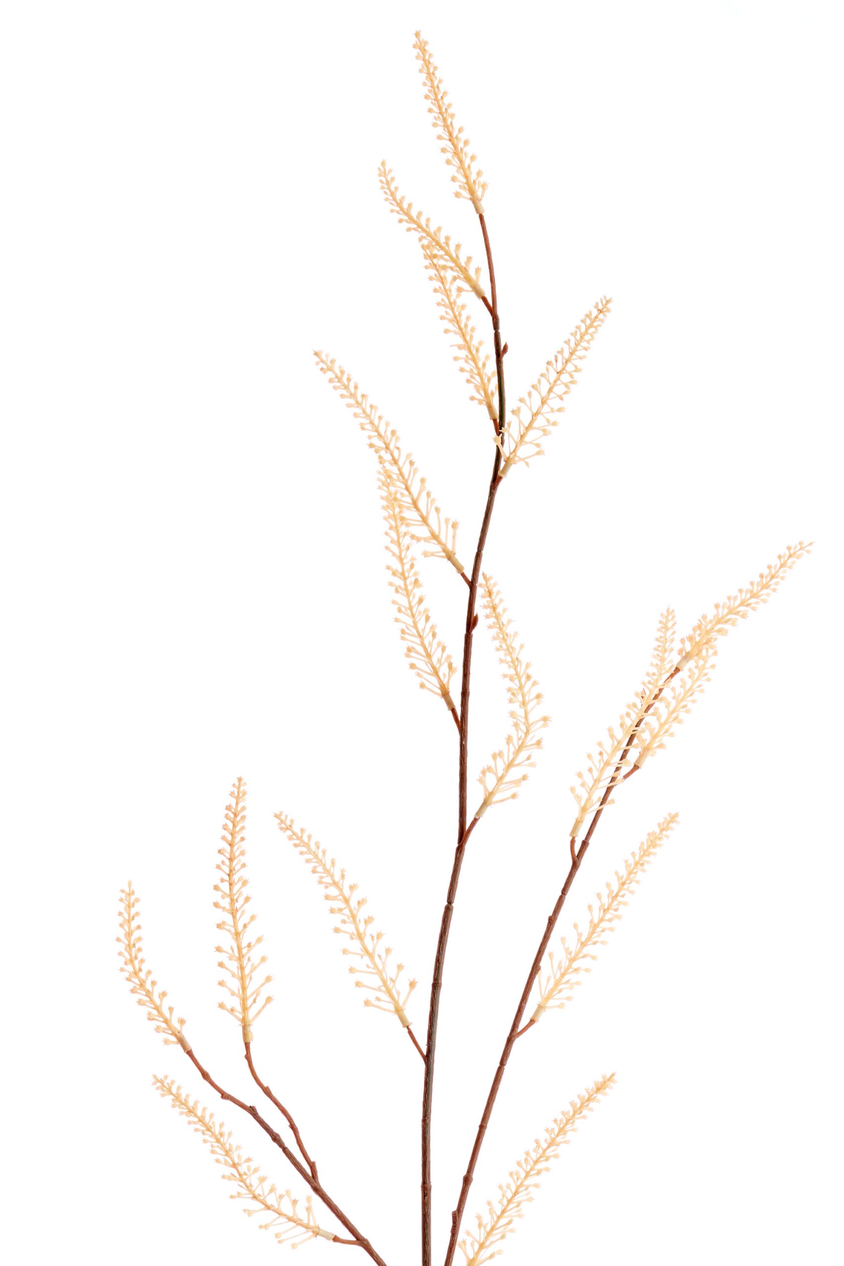 Light & Living Kunstbloem 110x10x3 cm TAMARIX zand