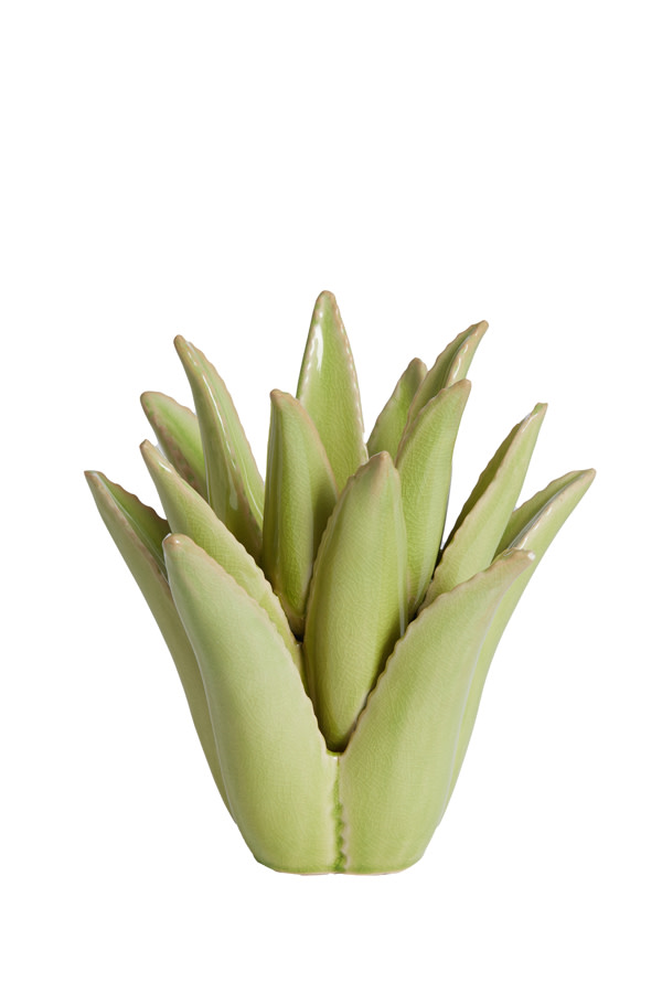 Light & Living Theelicht Ø21x21 cm CACTUS keramiek licht groen