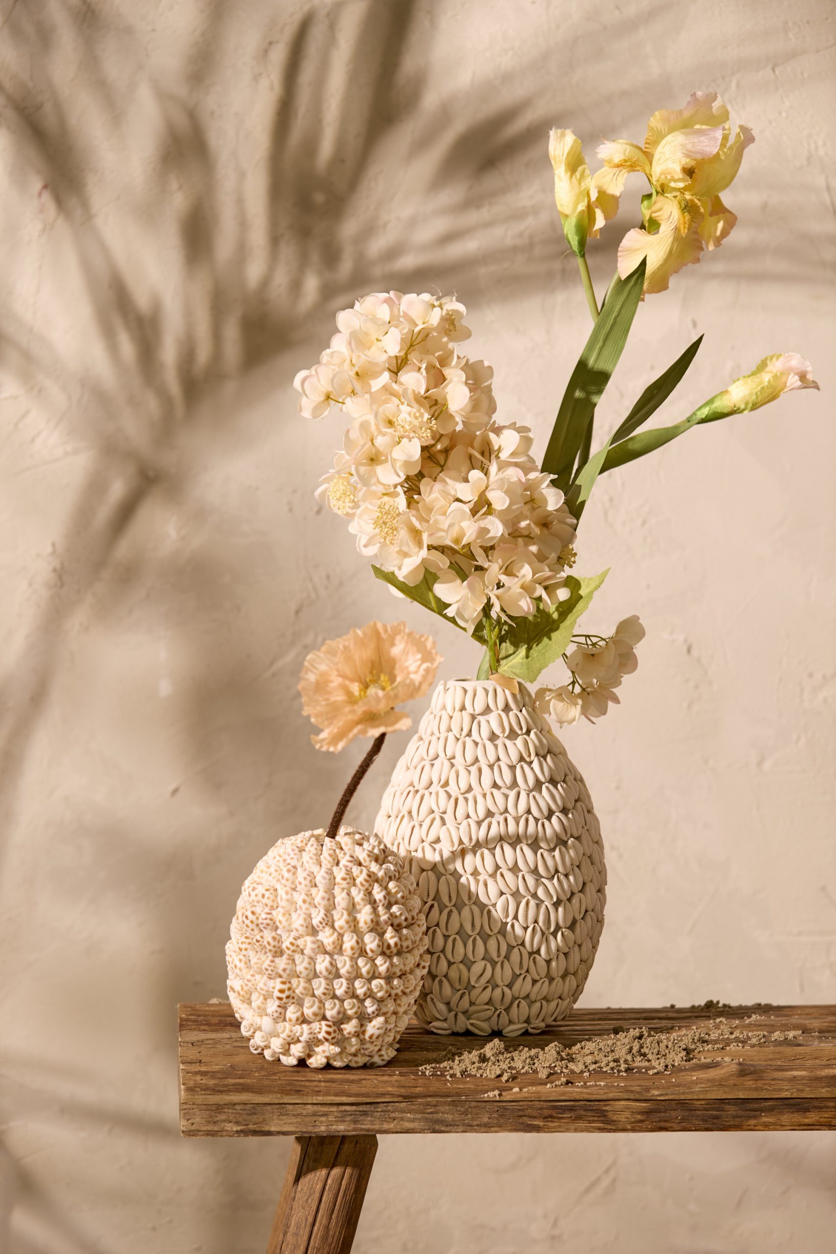 Light & Living Vaas deco Ø15,5x17,5 cm SHELL crème+bruin