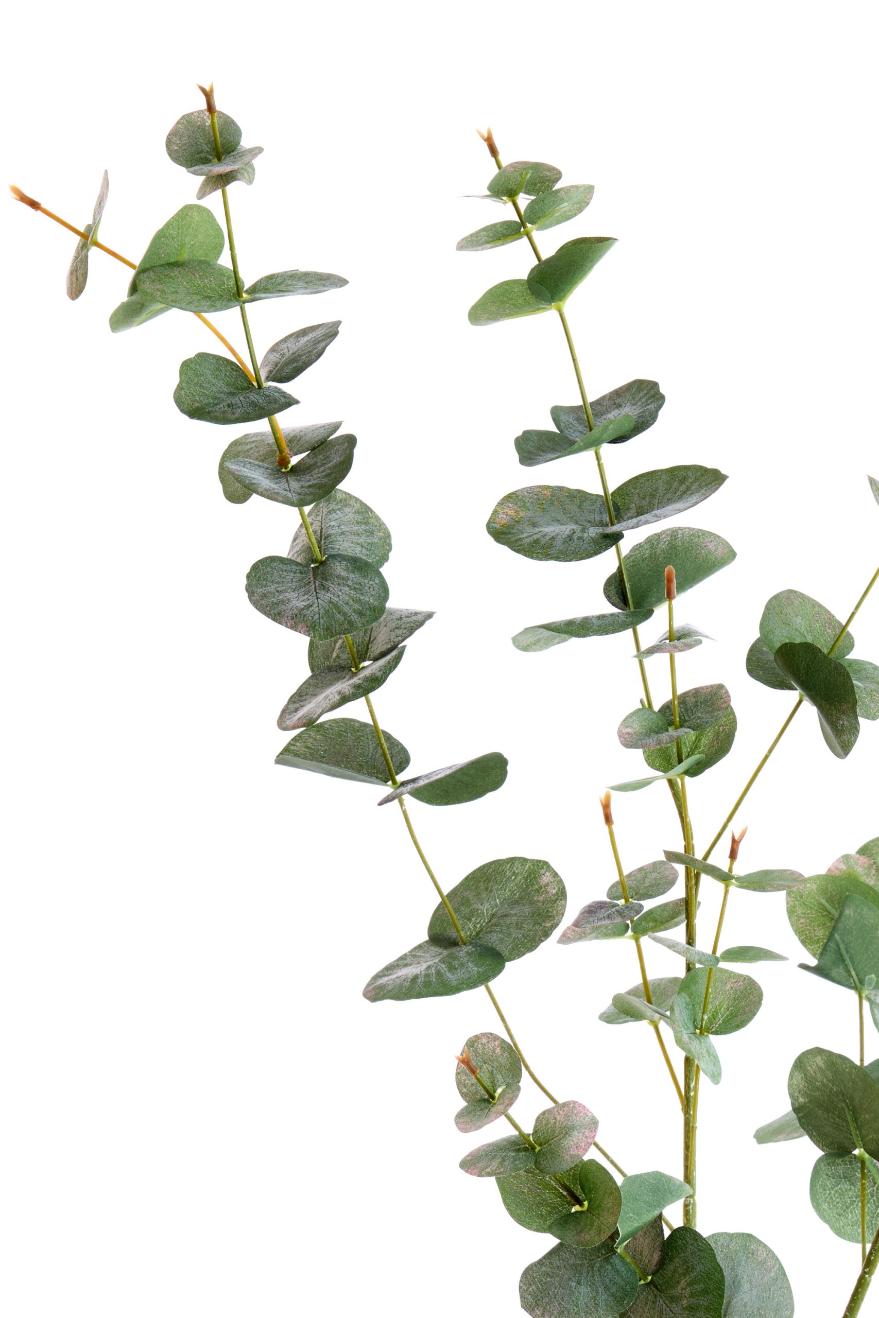 Light & Living Kunstbloem 98x25x10 cm EUCALYPTO groen