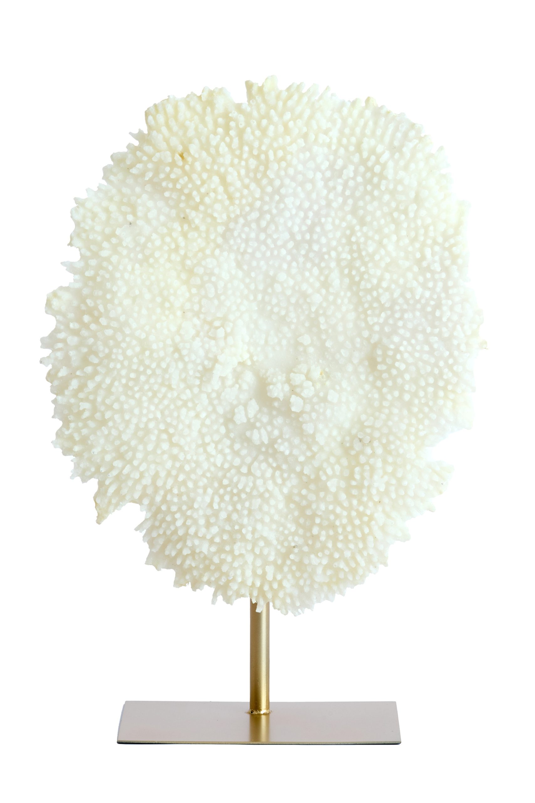 Light & Living Ornament op voet 46x20x69 cm CORAL crème+antiek brons