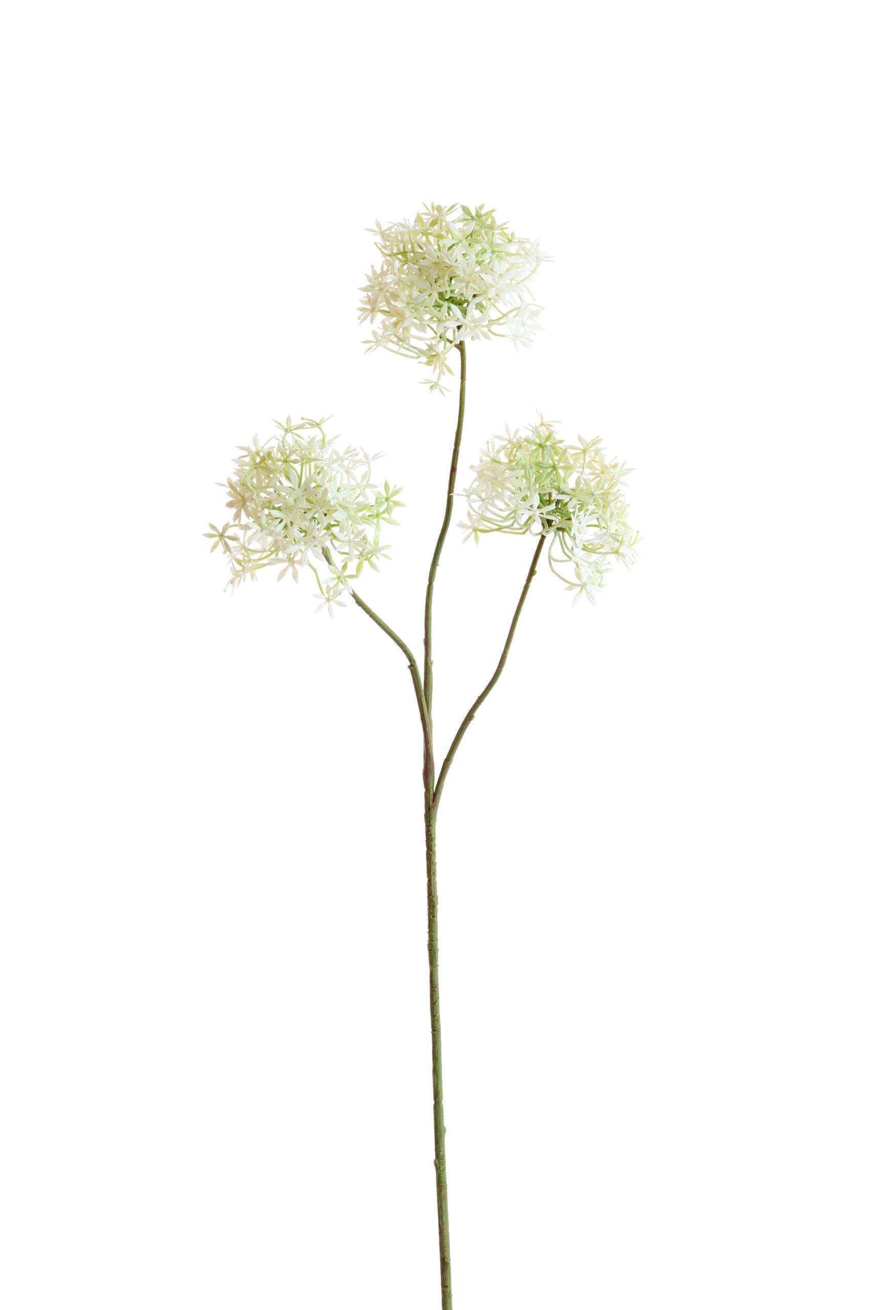Light & Living Kunstbloem 76x18x18 cm RADIATA crème