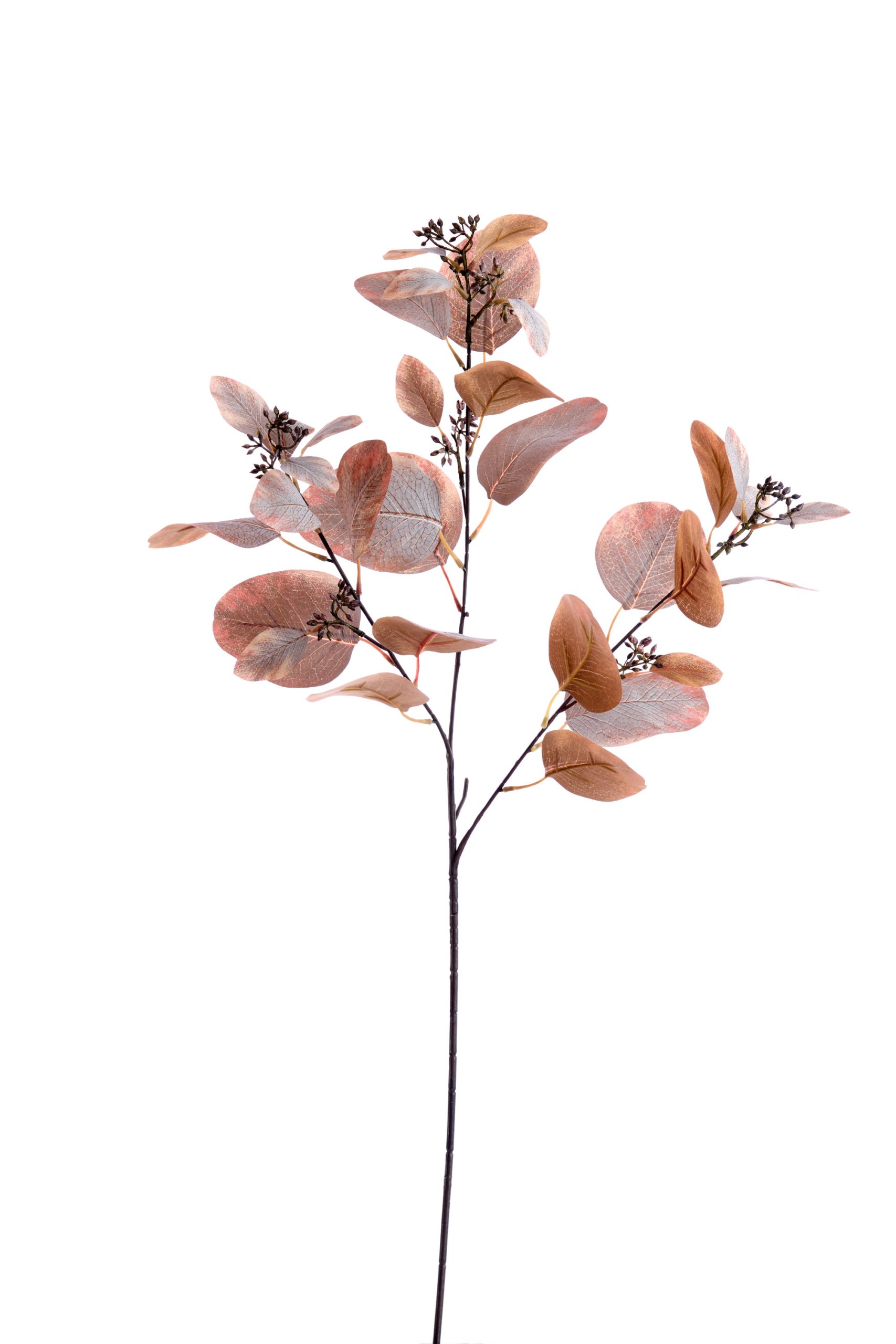 Light & Living Kunstbloem 84x25x10 cm EUCALYPTO donker bruin-grijs