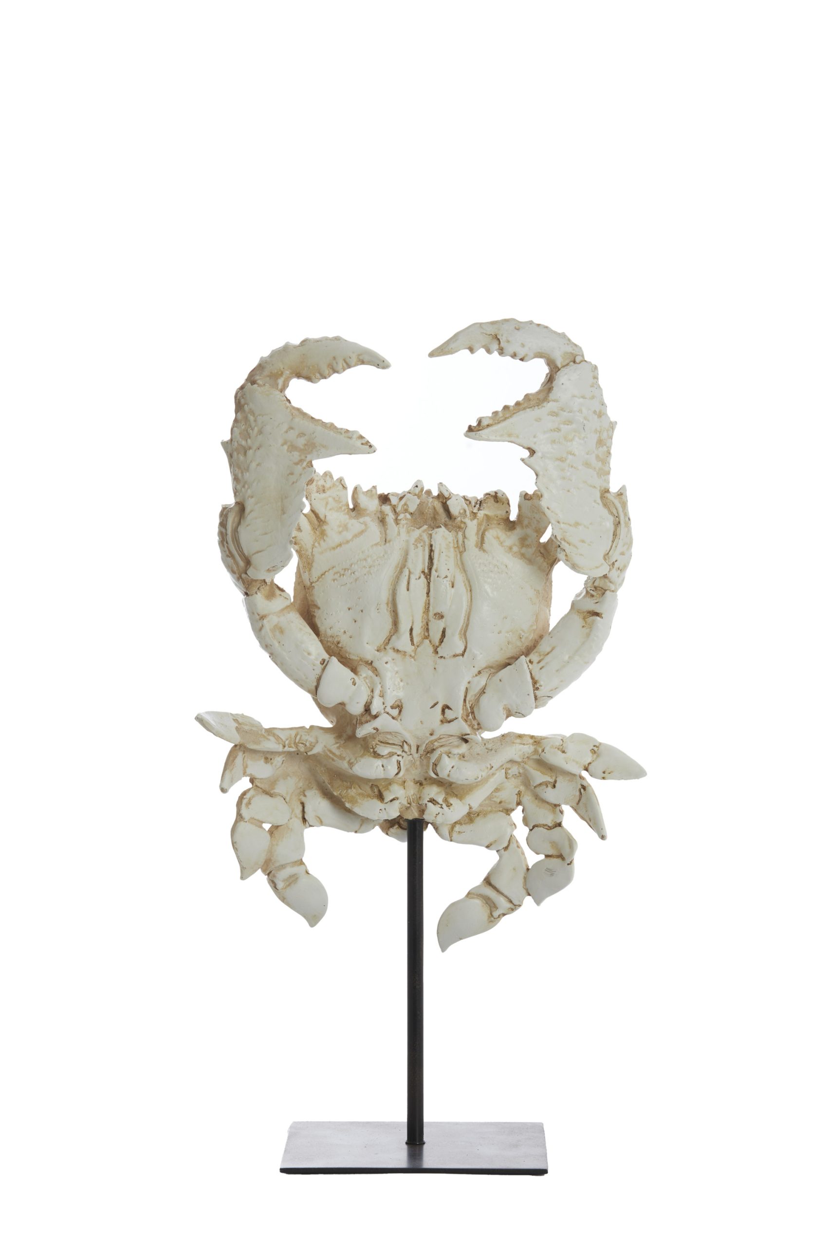 Light & Living Ornament op voet 23x12,5x42,5 cm CRAB gebroken wit