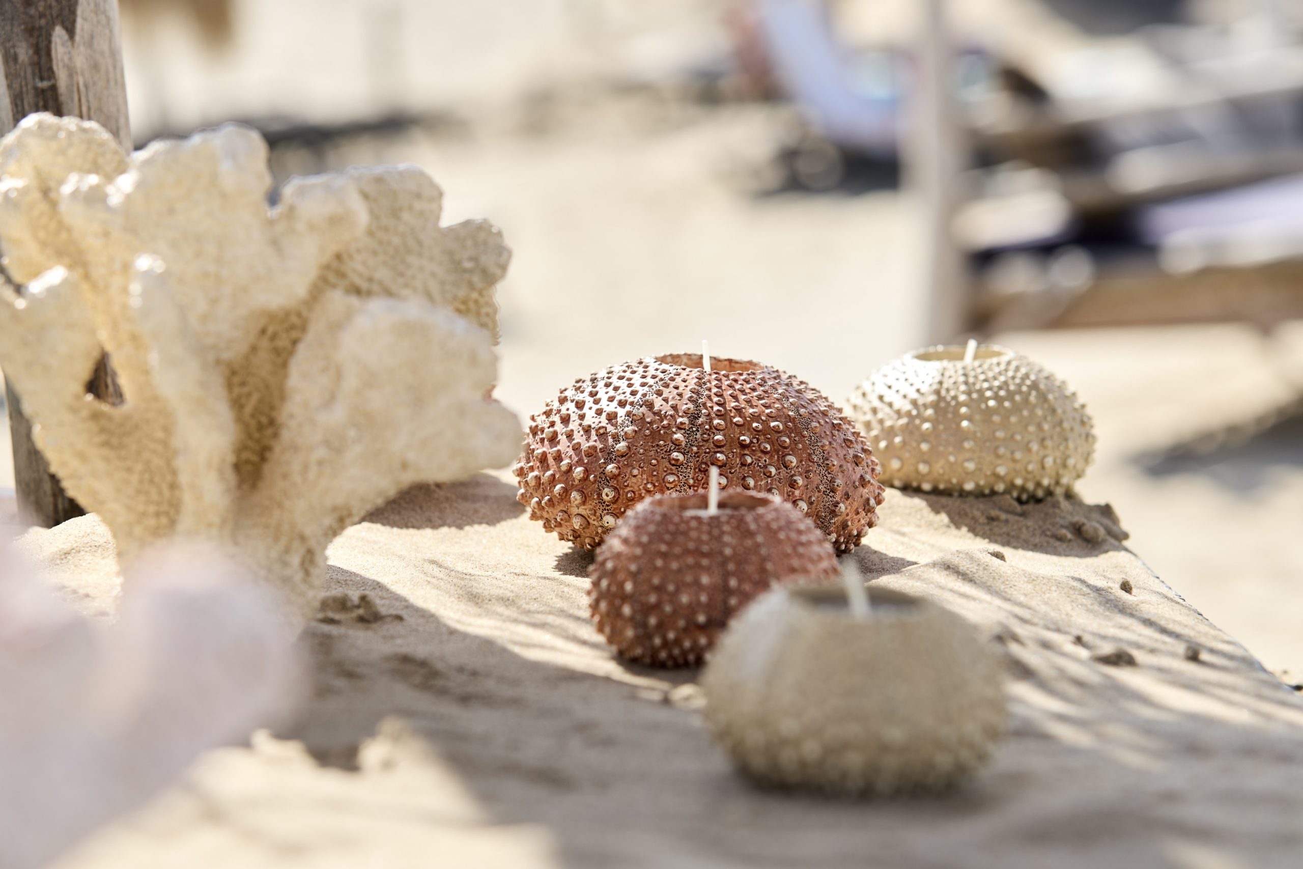 Light & Living Theelichthouder Ø12x7 cm SEA URCHIN crème