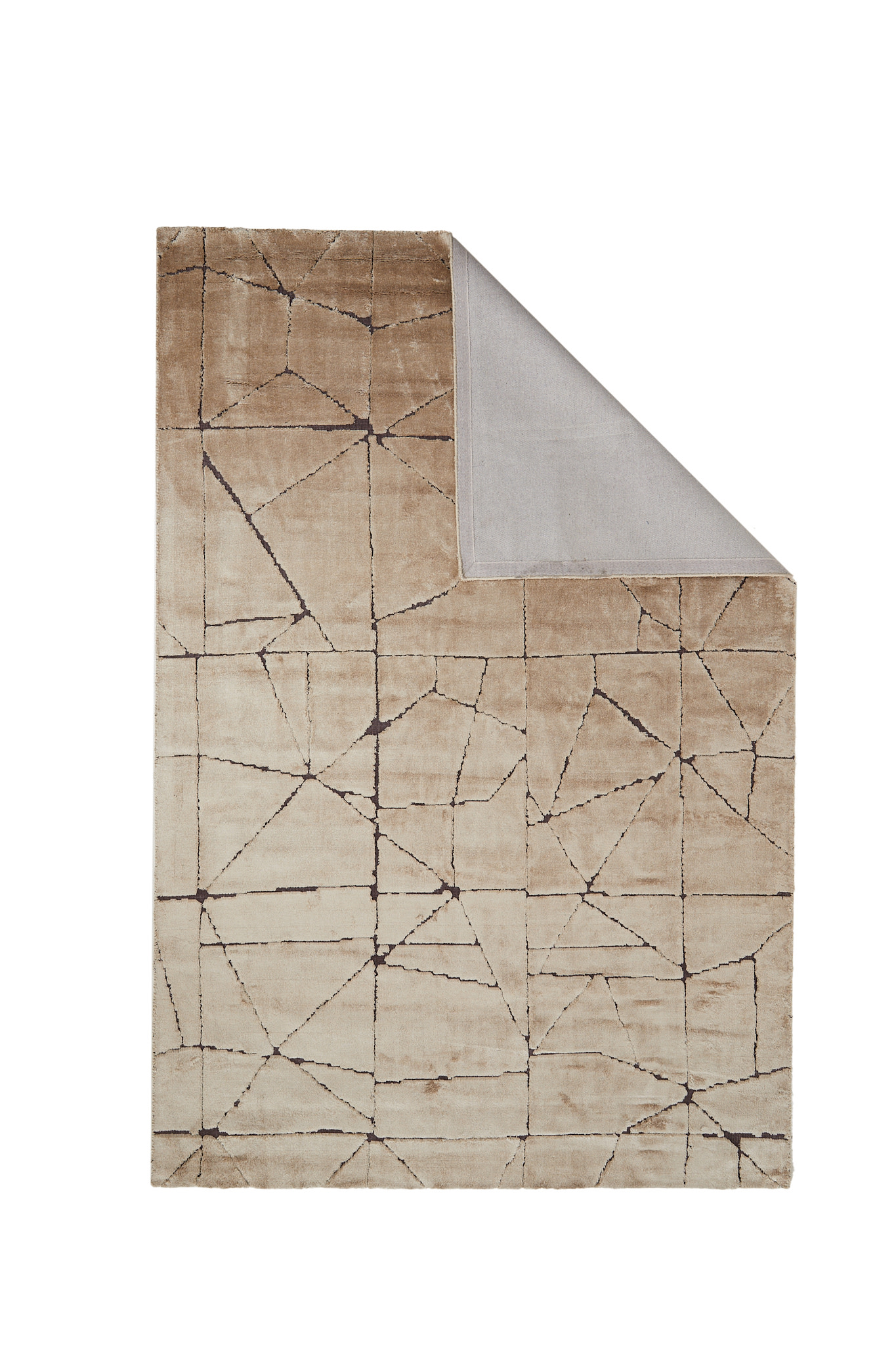 Light & Living Vloerkleed 300x200 cm DACULA bruin+donker bruin