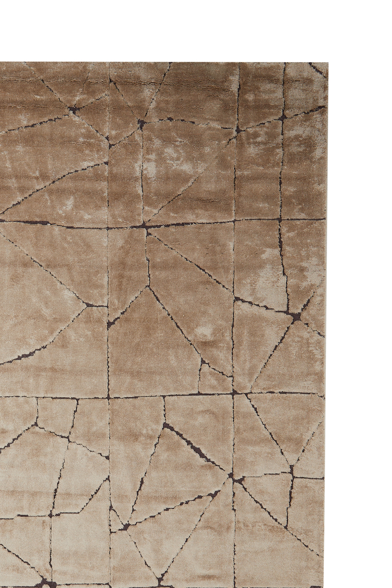 Light & Living Vloerkleed 300x200 cm DACULA bruin+donker bruin