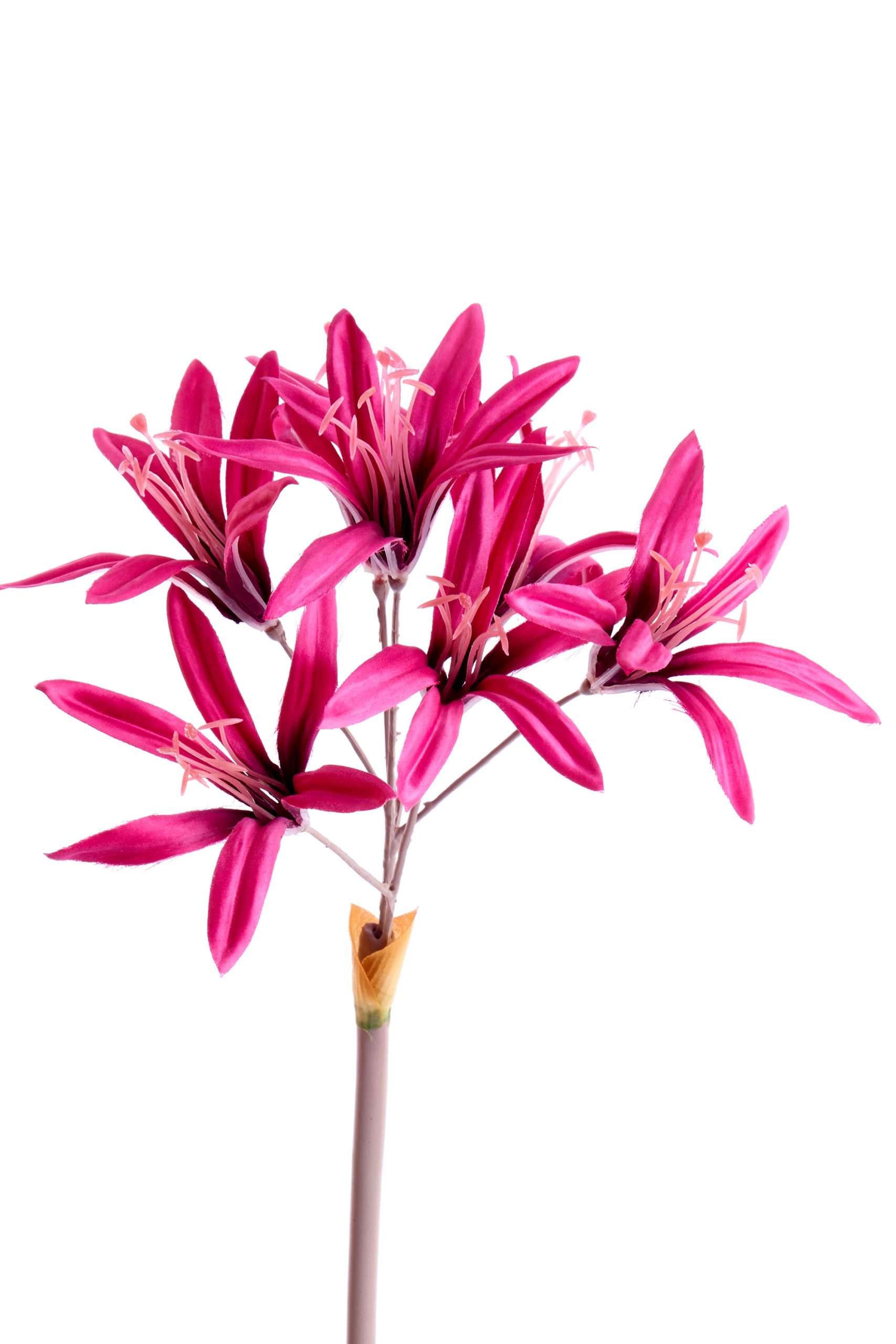 Light & Living Kunstbloem 86x13x13 cm LYCORIS roze