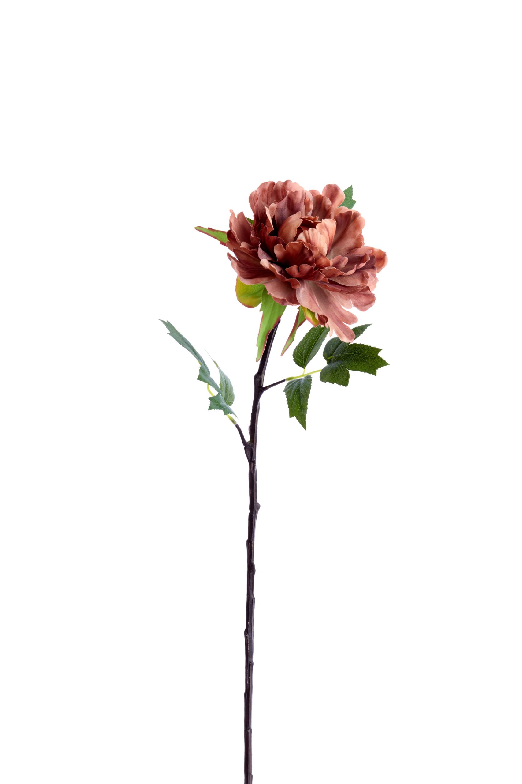 Light & Living Kunstbloem 65x15x10 cm PEONIA oranje-bruin
