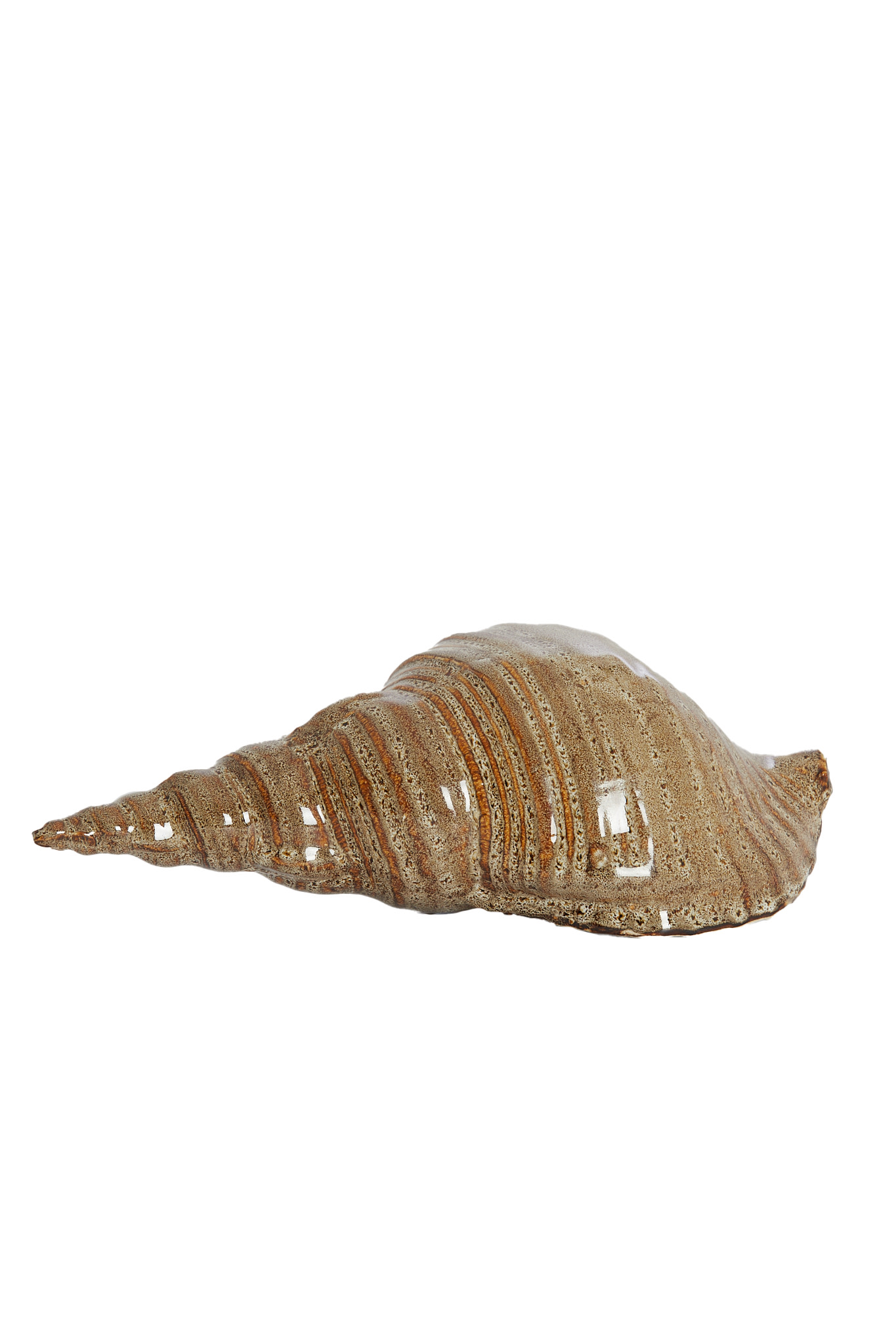 Light & Living Ornament 27,5x12,5x9 cm SHELL keramiek bruin