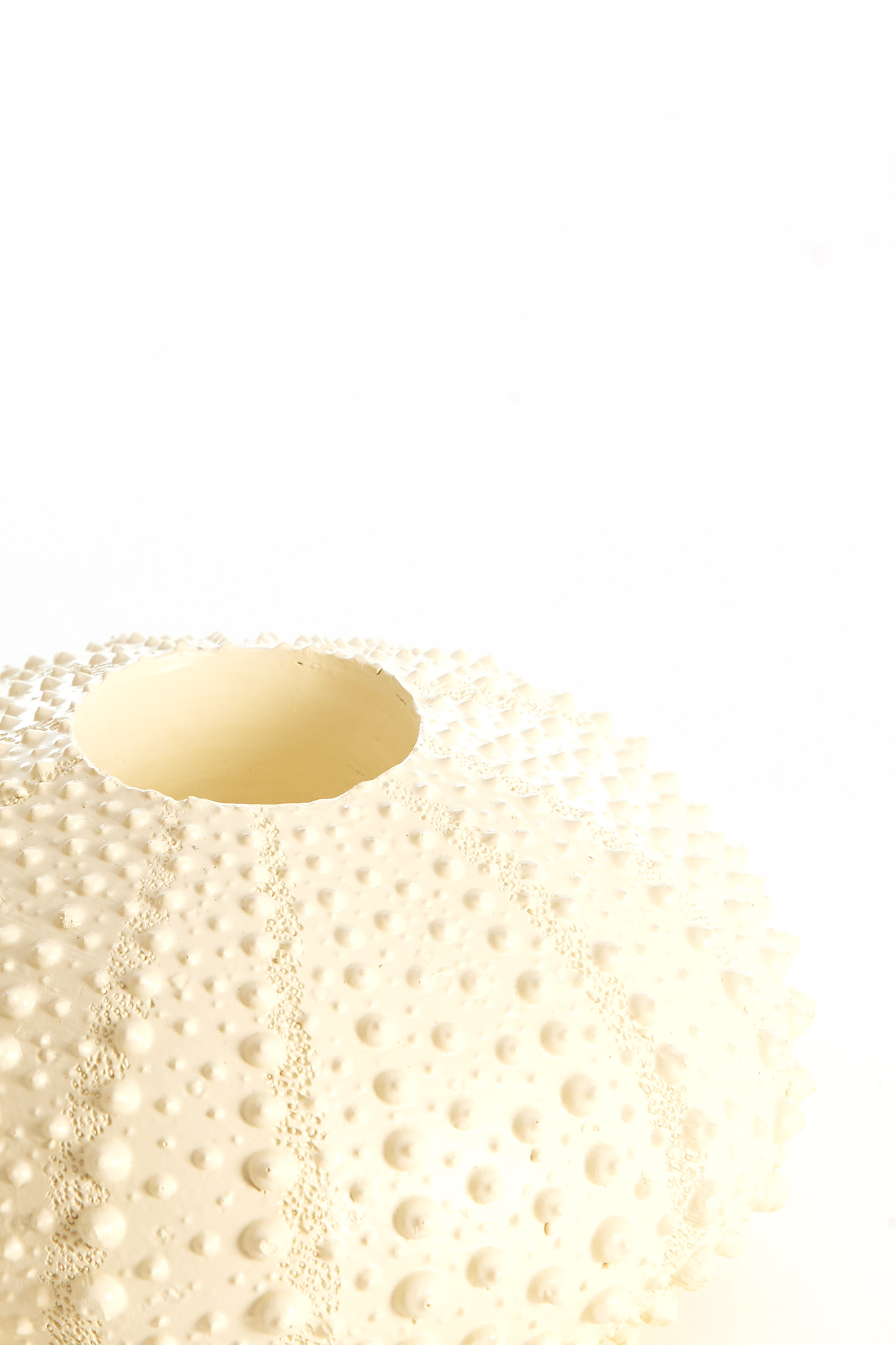 Light & Living Theelichthouder Ø15x8 cm SEA URCHIN crème