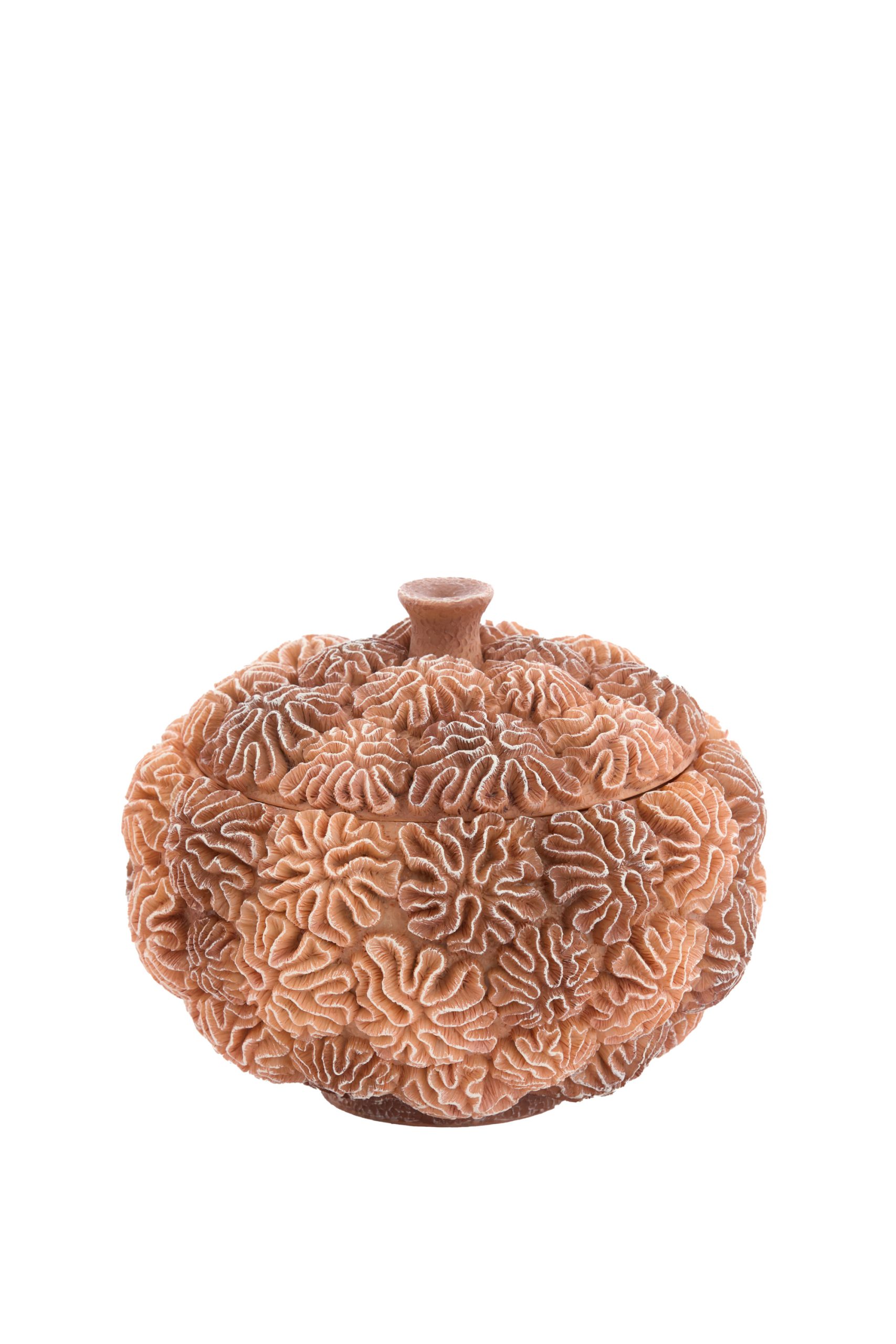 Light & Living Deco box+deksel Ø20x15,5 cm CORAL perzik-licht bruin