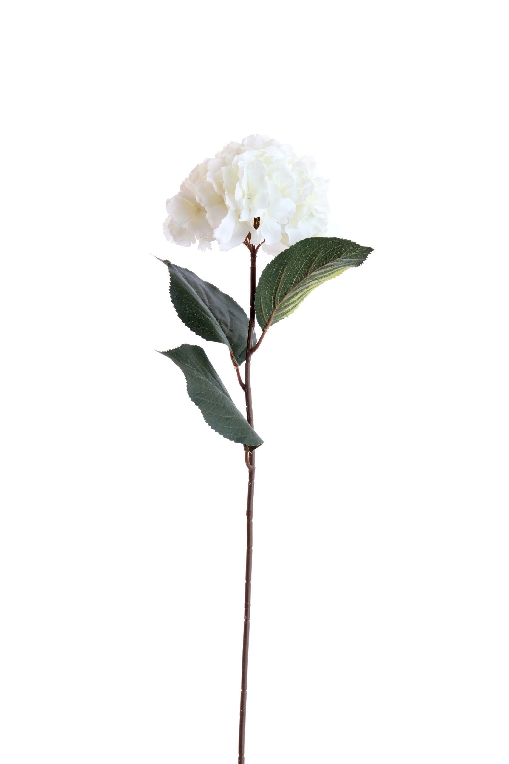 Light & Living Kunstbloem 72x18x18 cm HORTENSIA crème