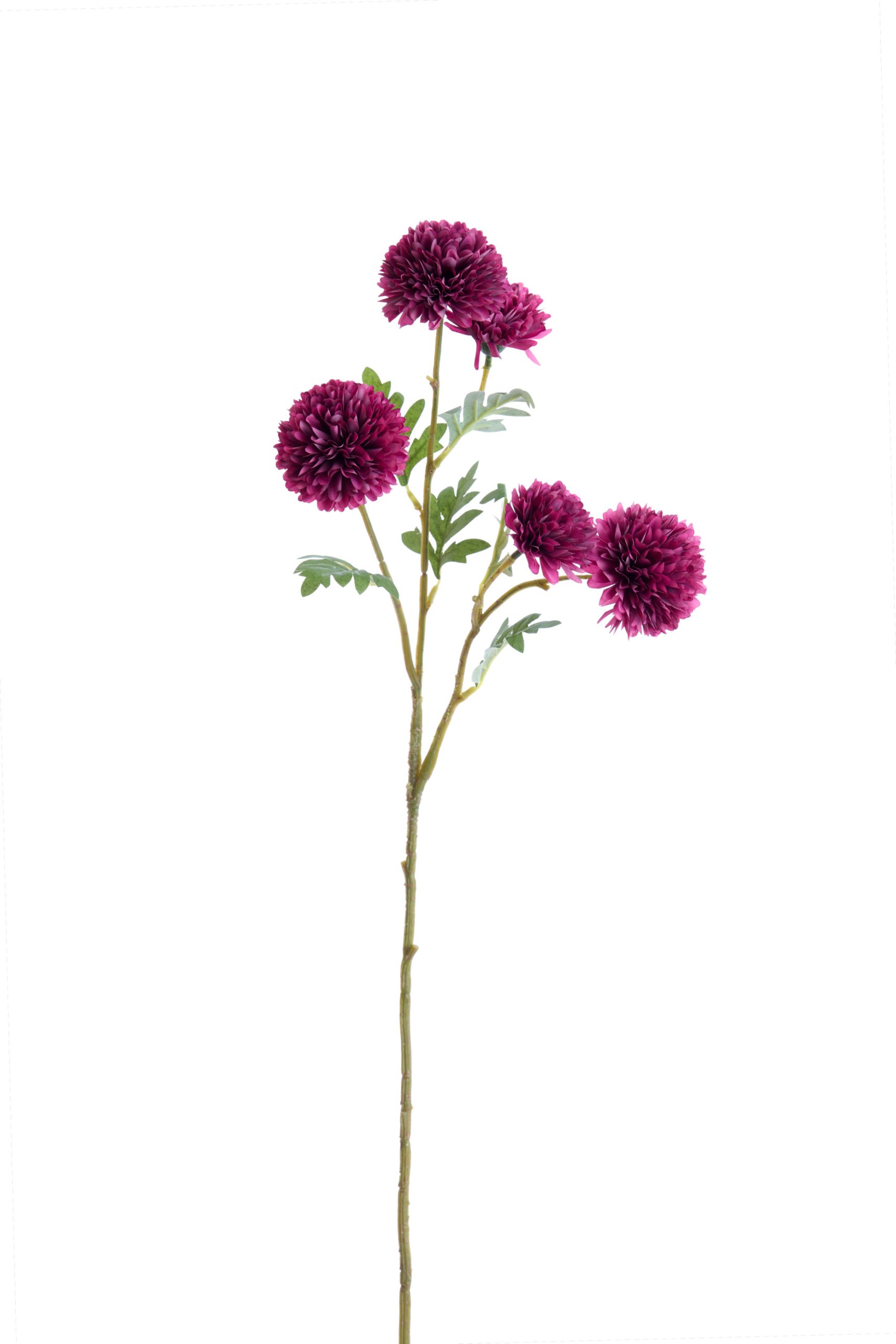 Light & Living Kunstbloem 73x15x15 cm CRISANTEMI bordeaux