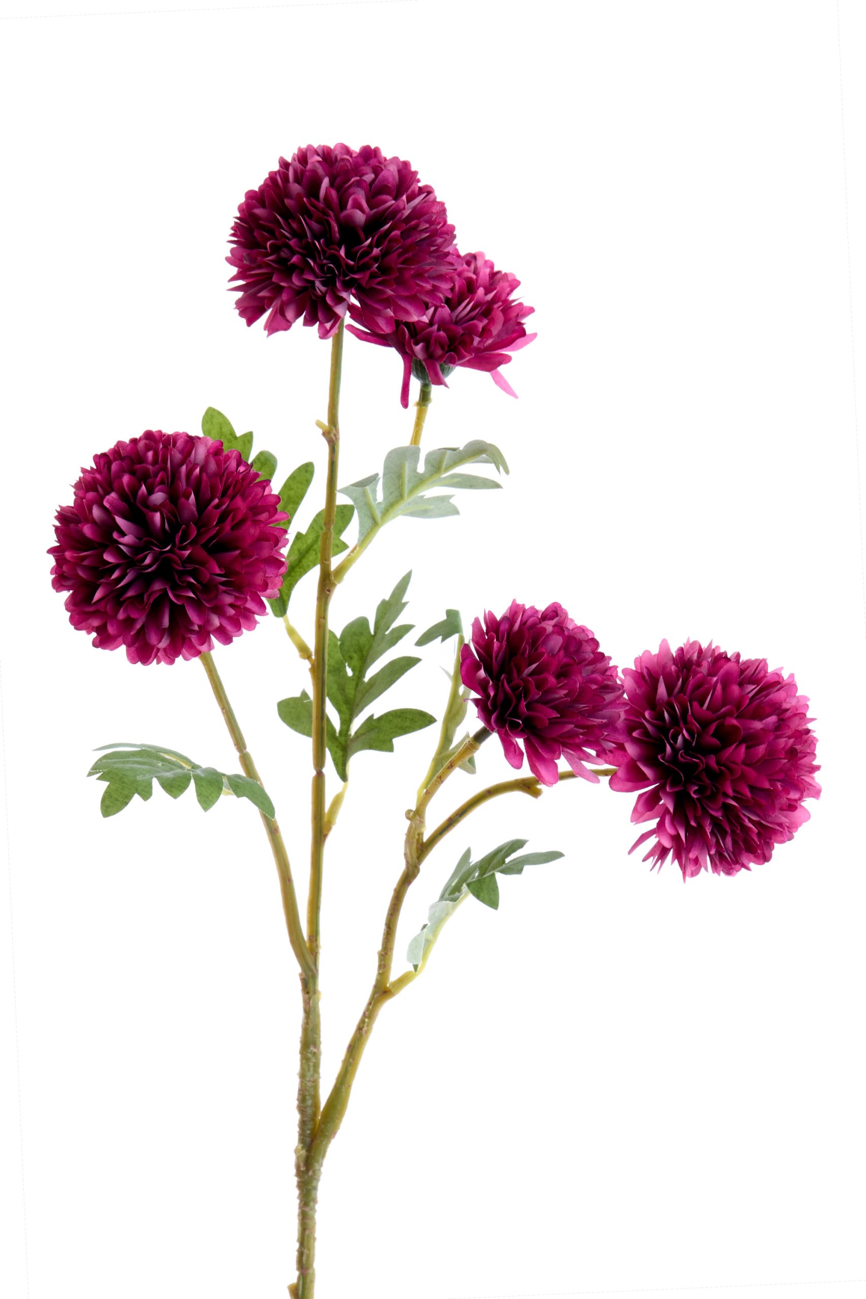 Light & Living Kunstbloem 73x15x15 cm CRISANTEMI bordeaux