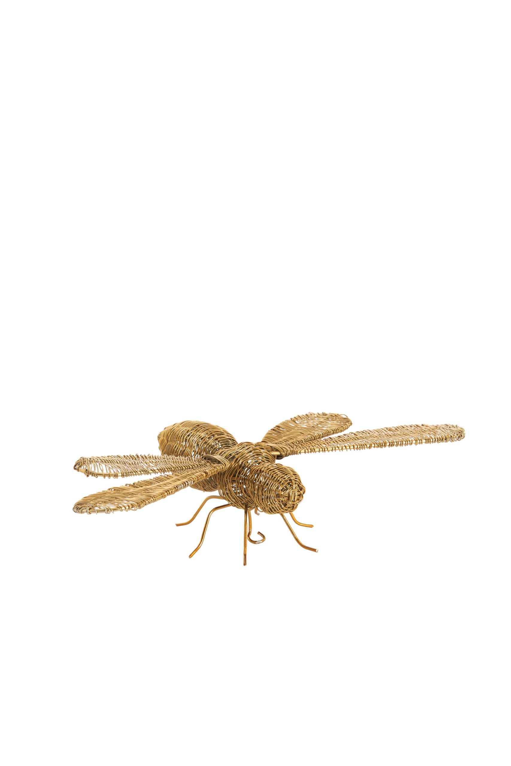 Light & Living Ornament 29x26,5x6 cm CICADA goud