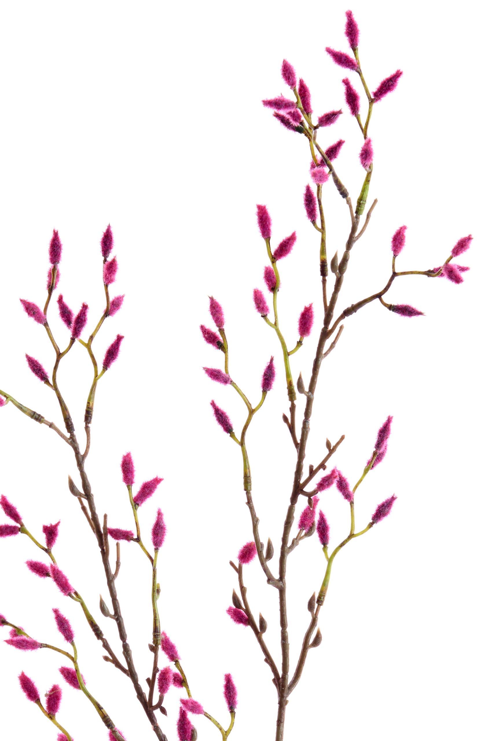 Light & Living Kunstbloem 90x20x5 cm CATKINS roze