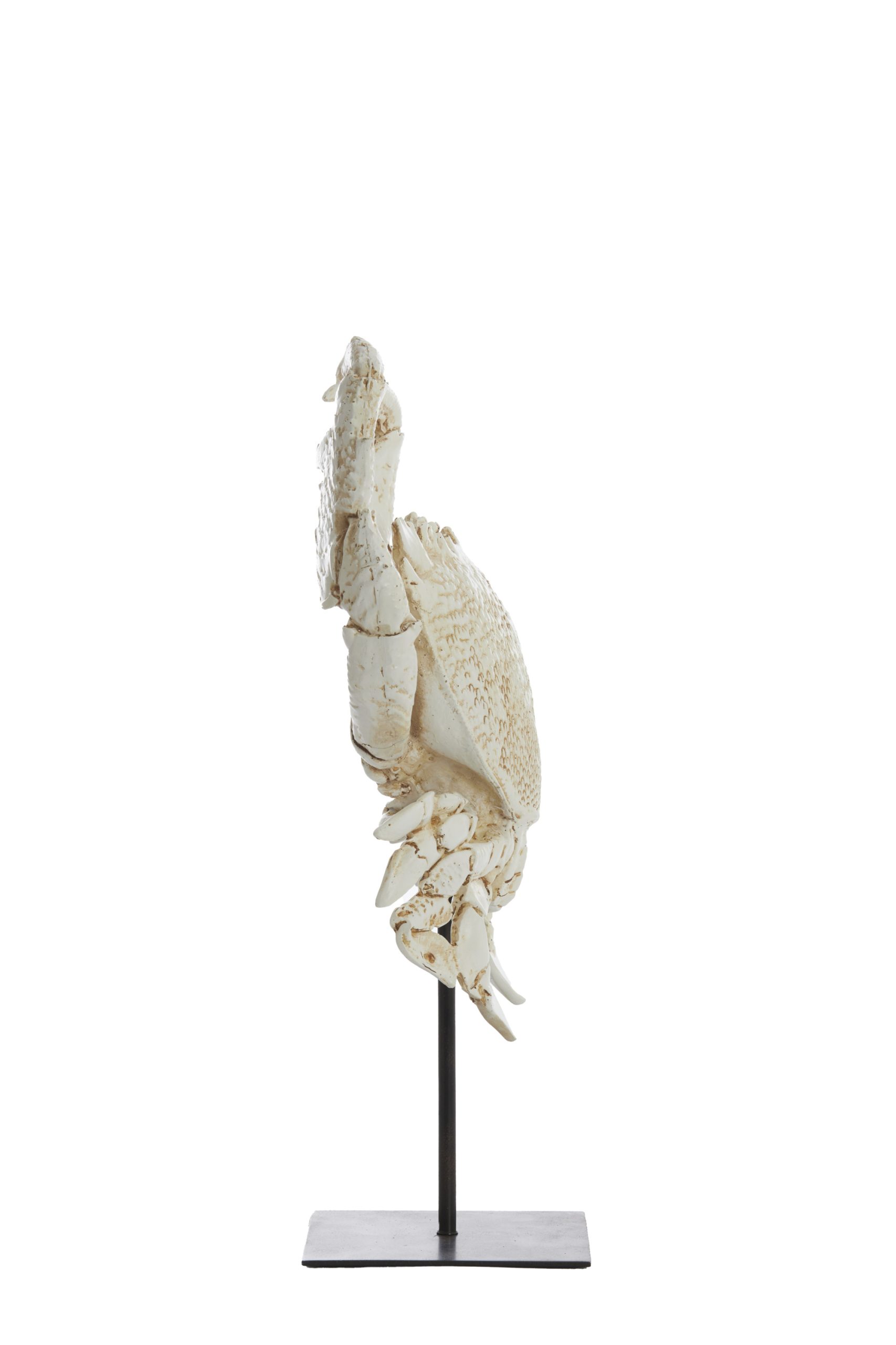 Light & Living Ornament op voet 23x12,5x42,5 cm CRAB gebroken wit