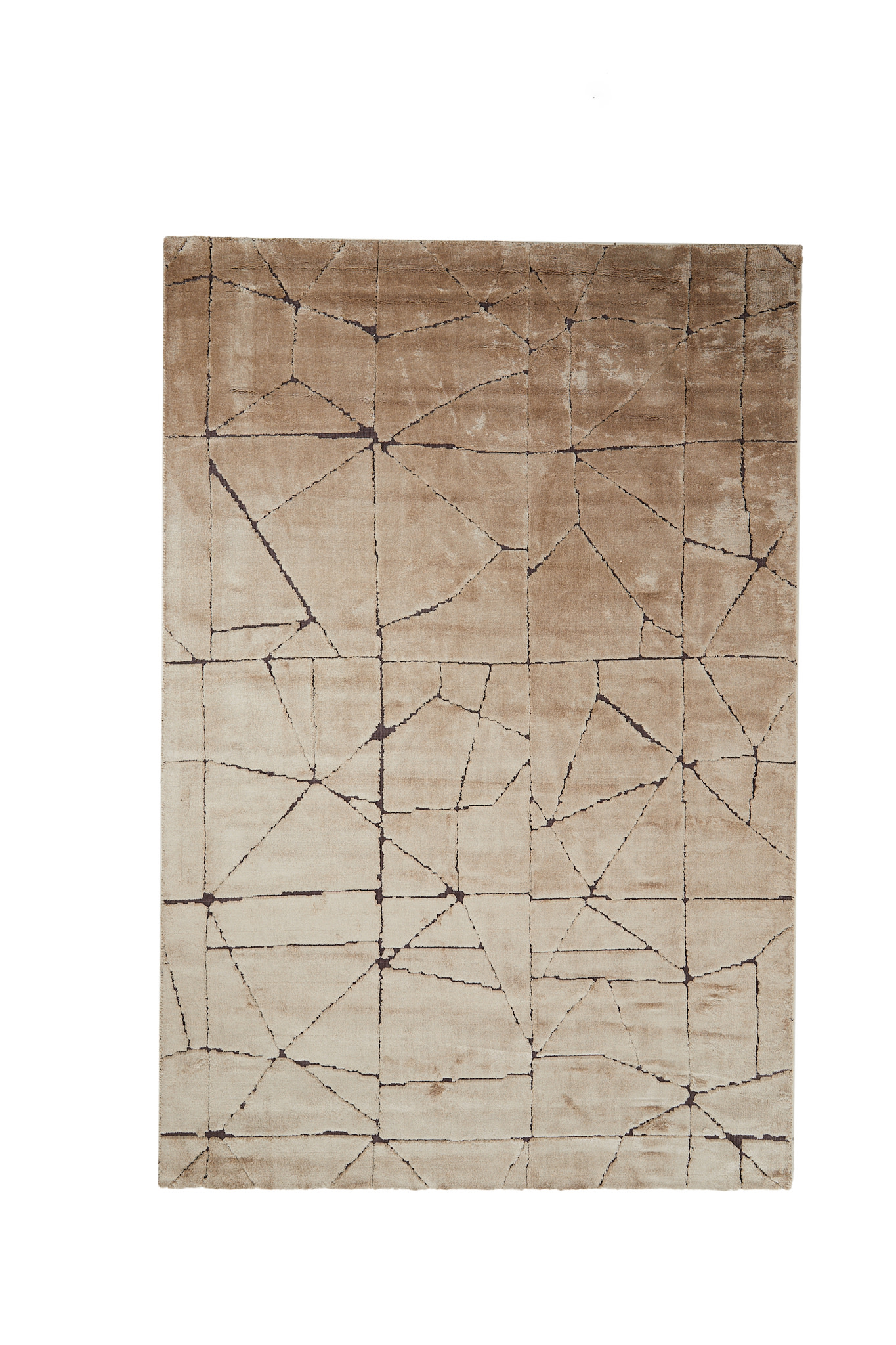 Light & Living Vloerkleed 300x200 cm DACULA bruin+donker bruin