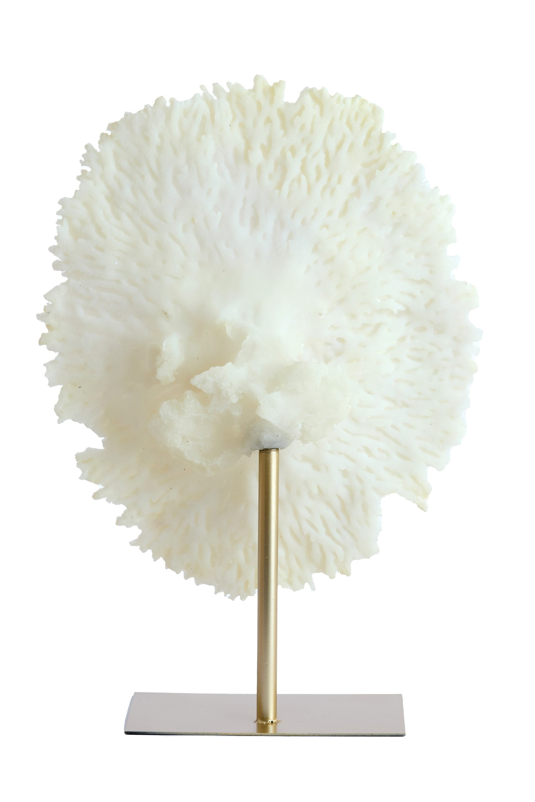 Light & Living Ornament op voet 46x20x69 cm CORAL crème+antiek brons