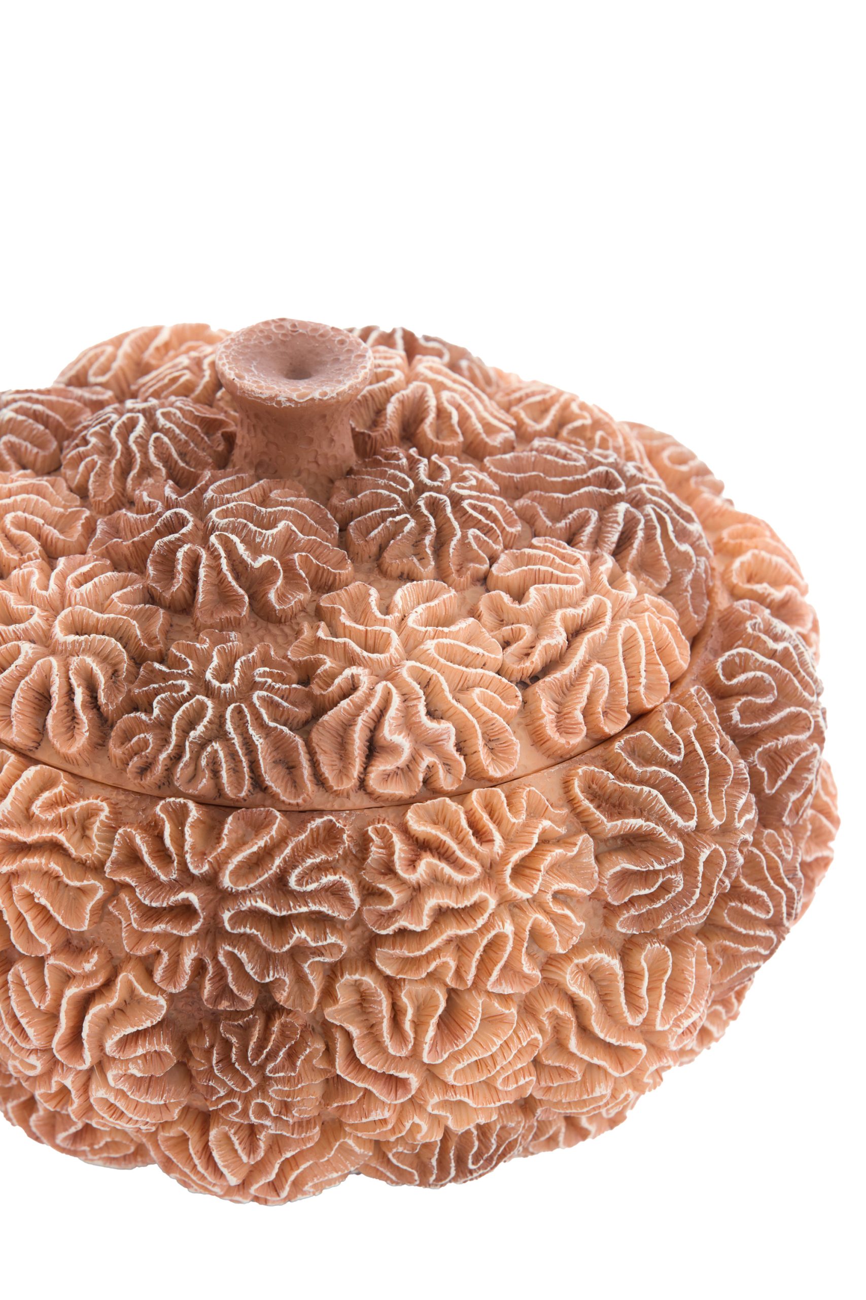 Light & Living Deco box+deksel Ø20x15,5 cm CORAL perzik-licht bruin
