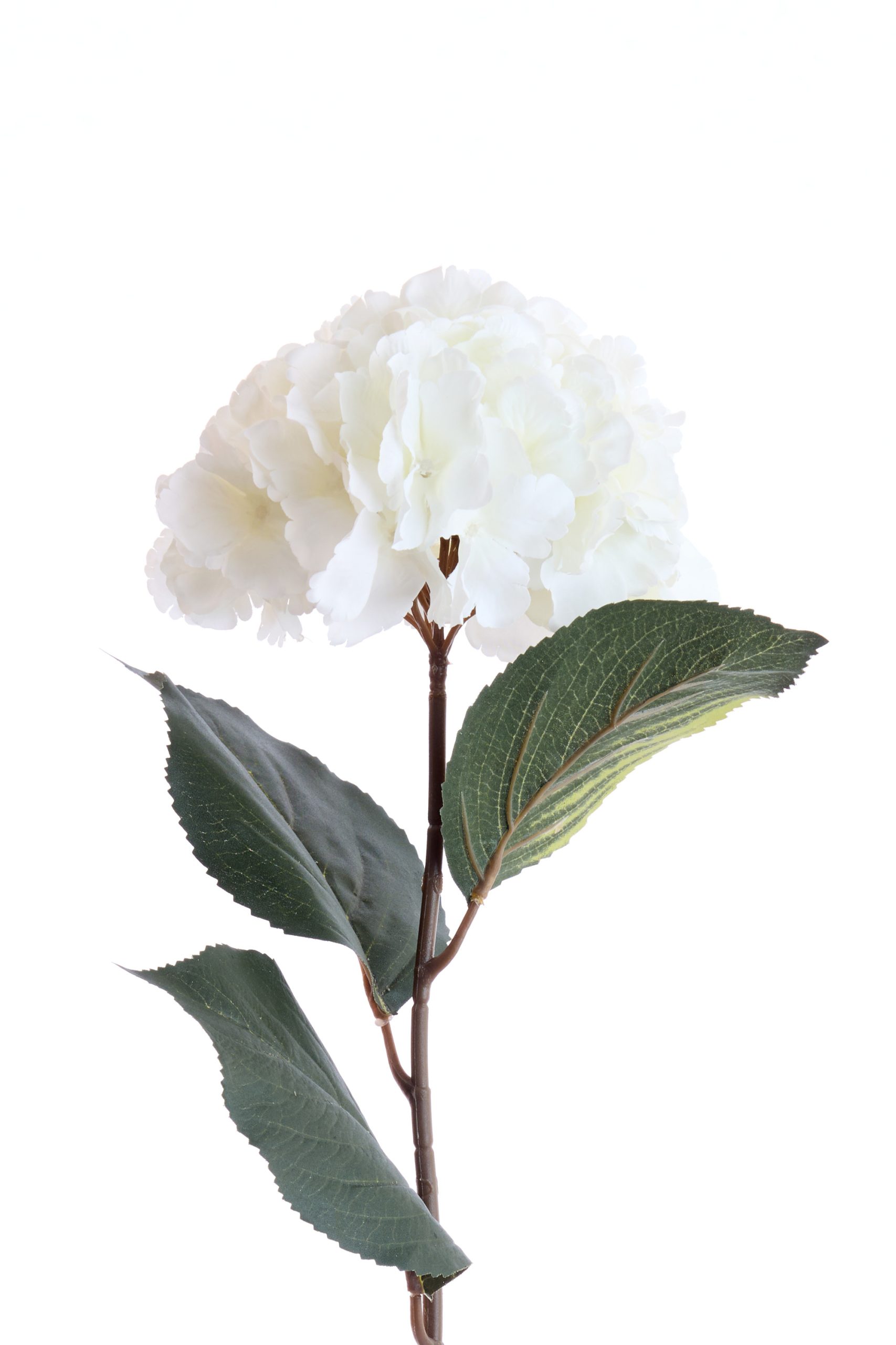 Light & Living Kunstbloem 72x18x18 cm HORTENSIA crème