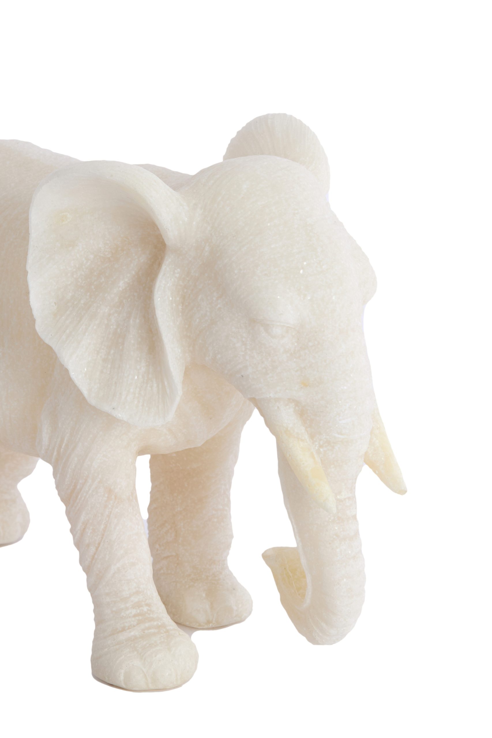 Light & Living Ornament 26x11x18 cm GAJAH beige