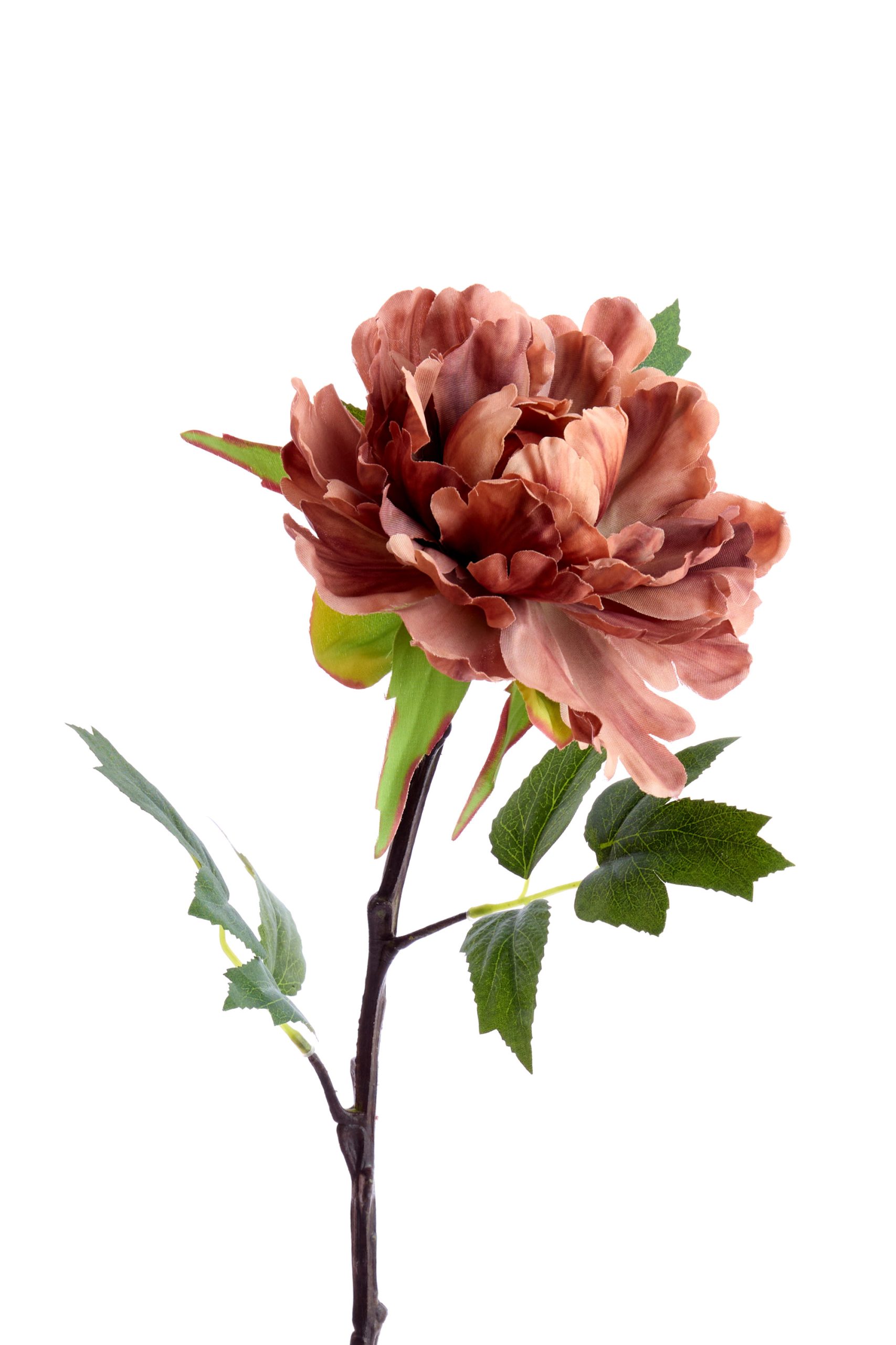 Light & Living Kunstbloem 65x15x10 cm PEONIA oranje-bruin