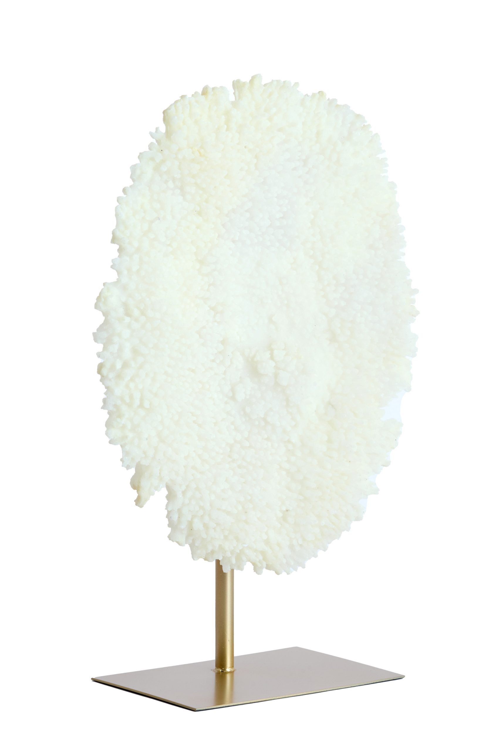 Light & Living Ornament op voet 46x20x69 cm CORAL crème+antiek brons