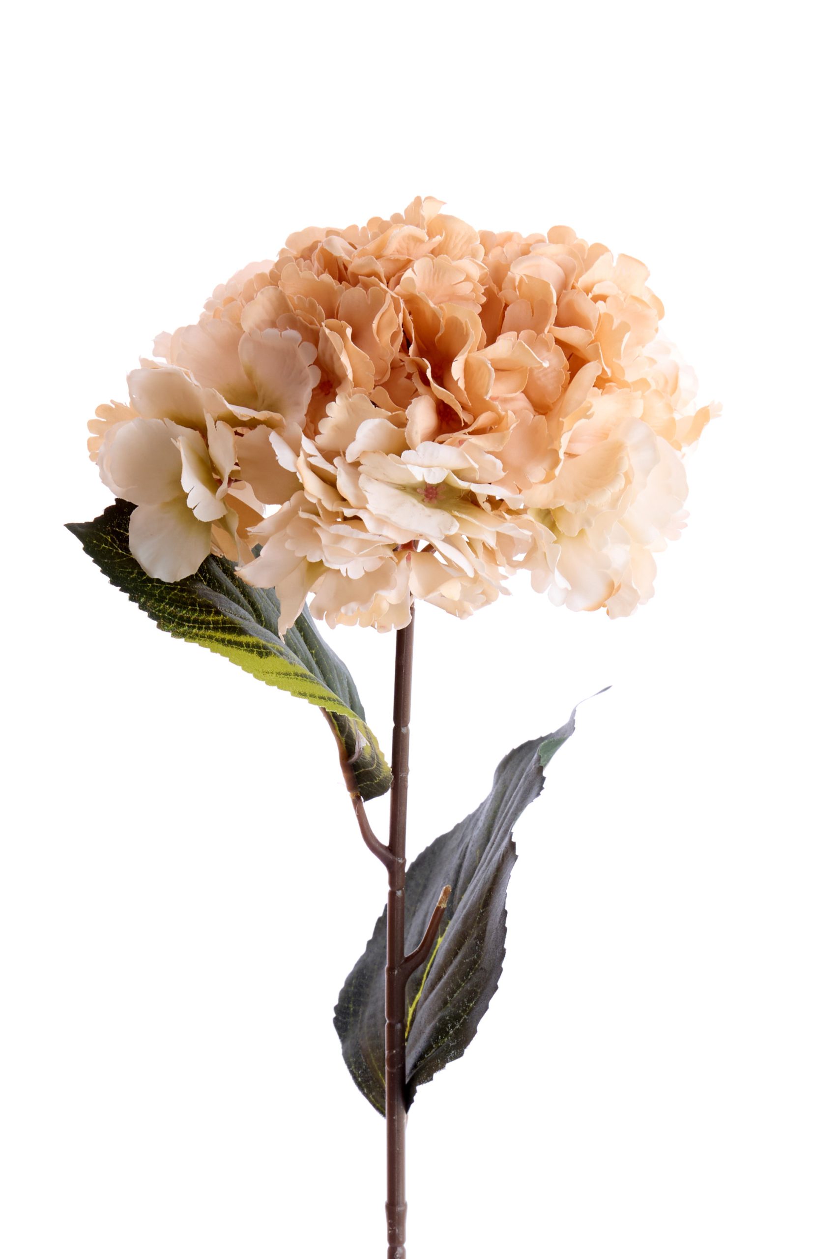 Light & Living Kunstbloem 72x18x18 cm HORTENSIA perzik-crème
