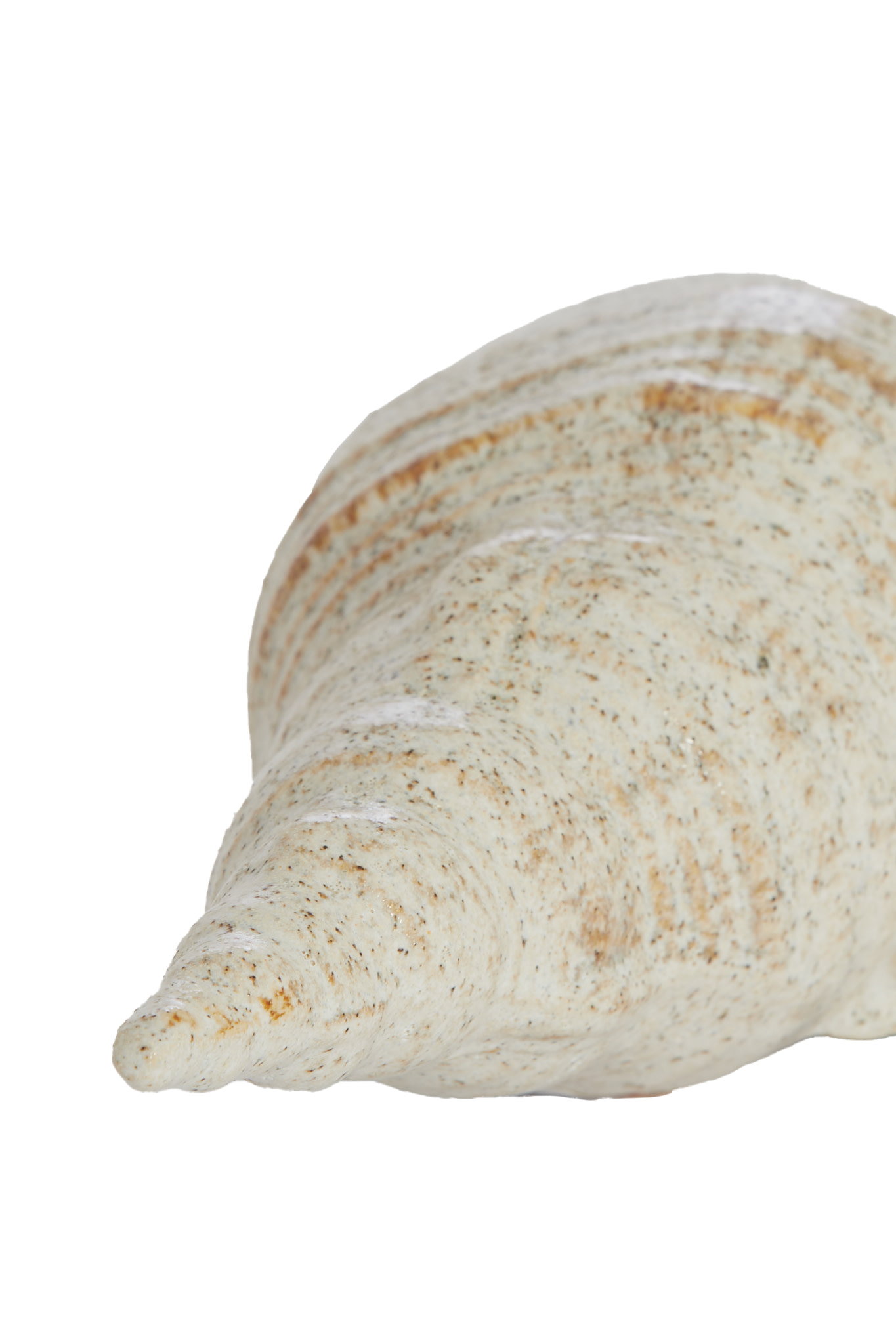 Light & Living Ornament 27,5x12,5x9 cm SHELL keramiek crème-zand