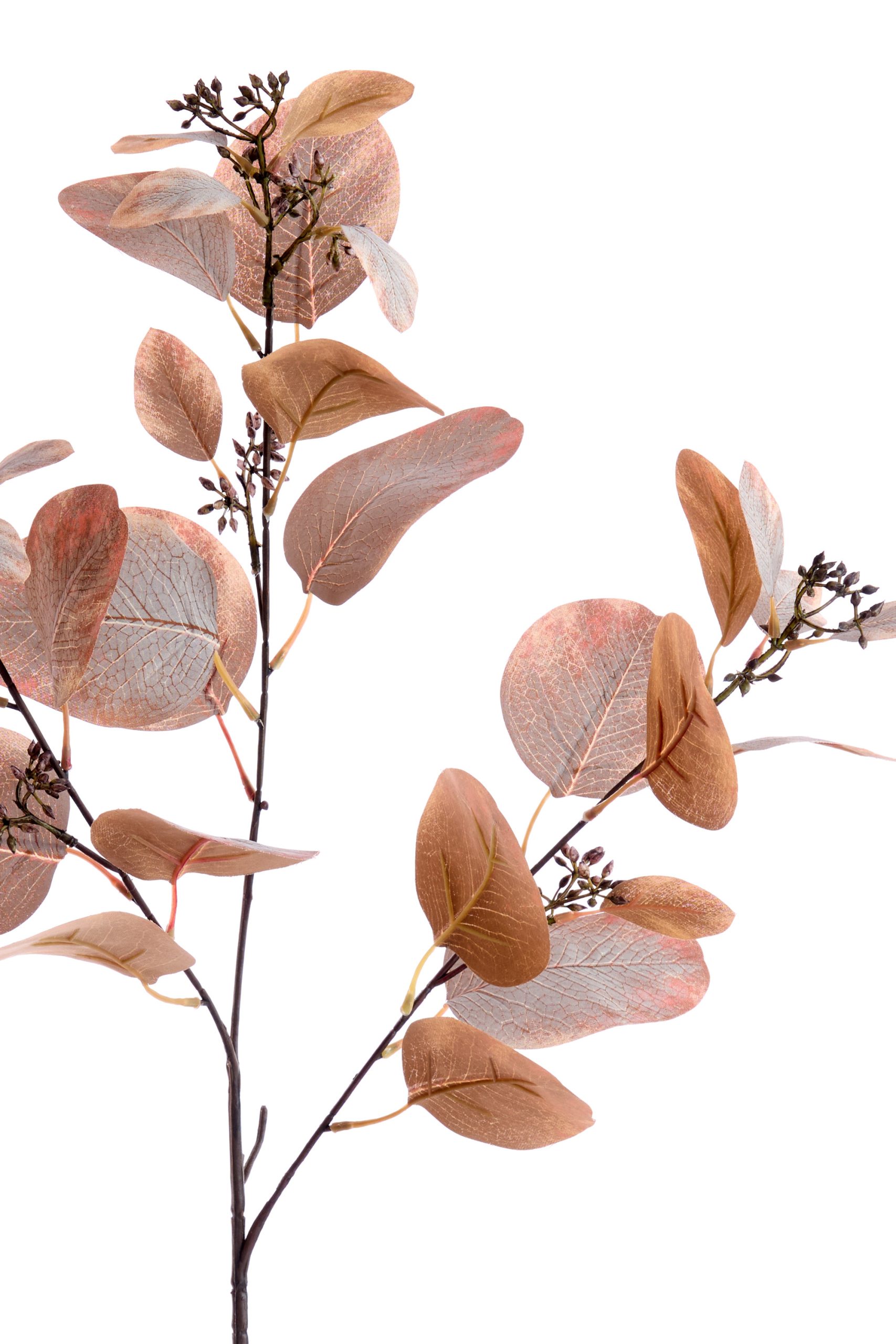 Light & Living Kunstbloem 84x25x10 cm EUCALYPTO donker bruin-grijs