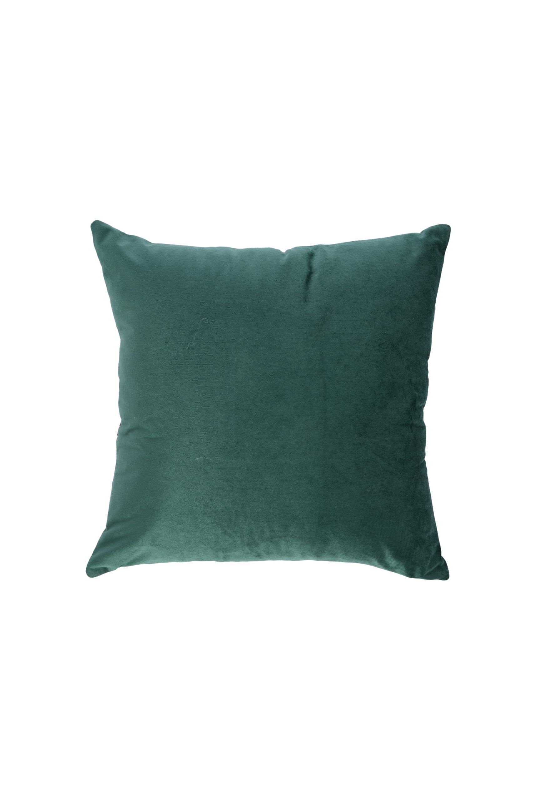 Light & Living Kussen 45x45 cm ROYCE groen-wit