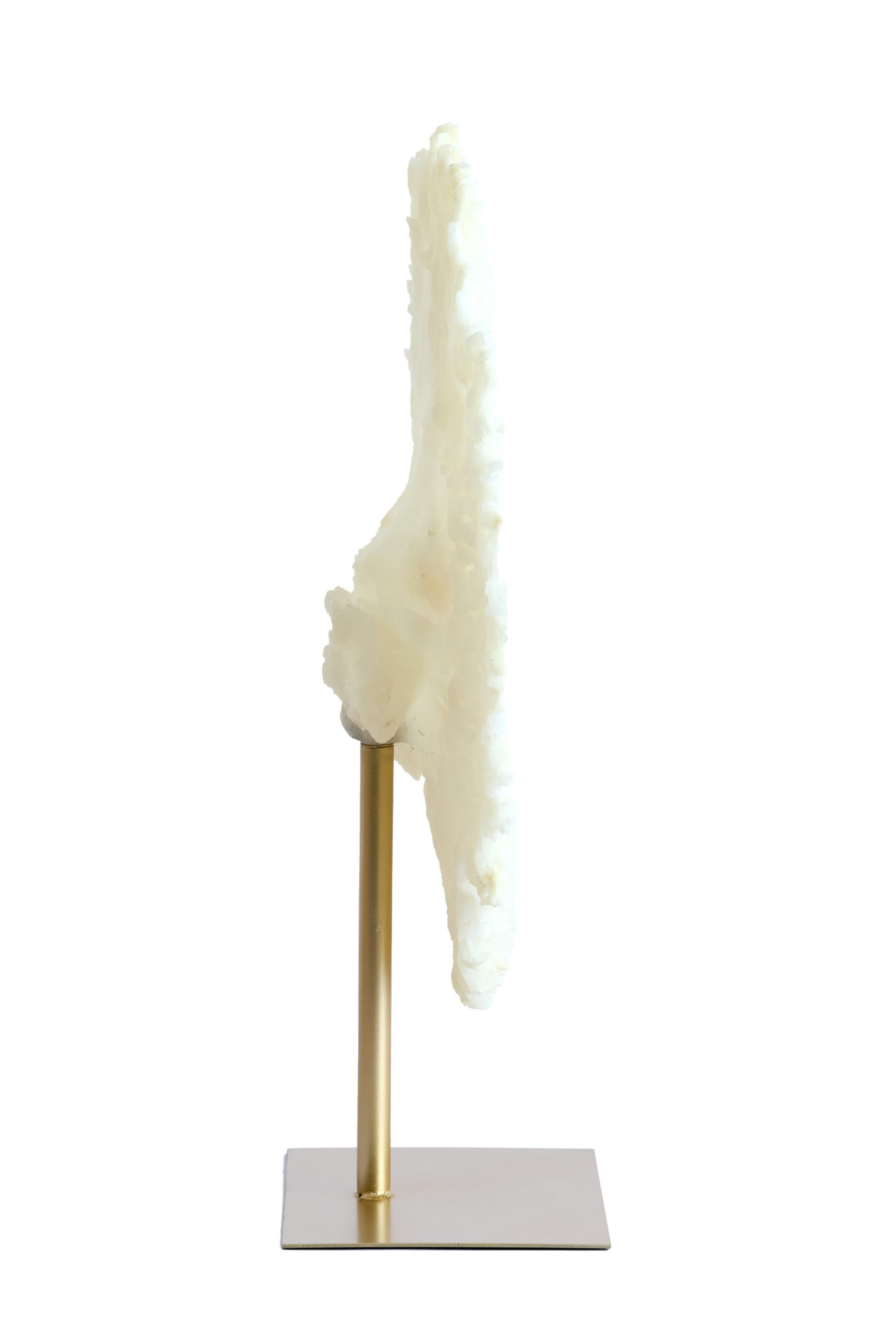Light & Living Ornament op voet 46x20x69 cm CORAL crème+antiek brons