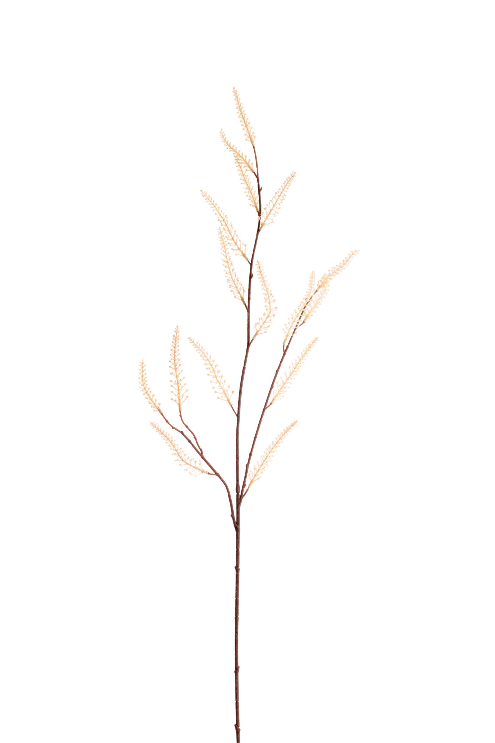 Light & Living Kunstbloem 110x10x3 cm TAMARIX zand