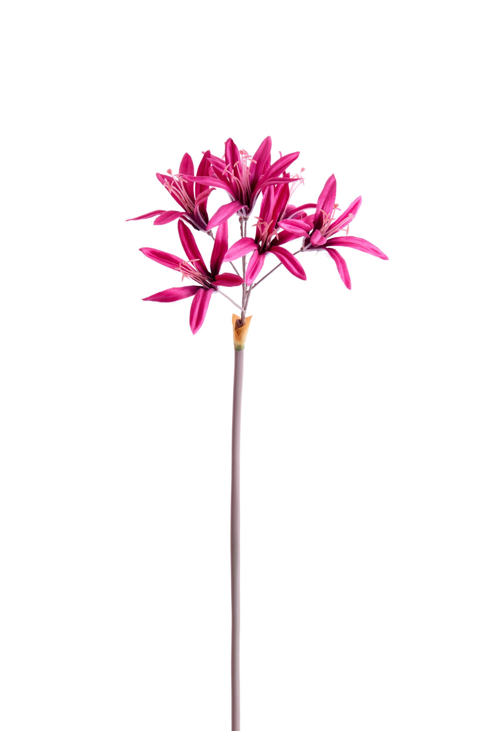 Light & Living Kunstbloem 86x13x13 cm LYCORIS roze