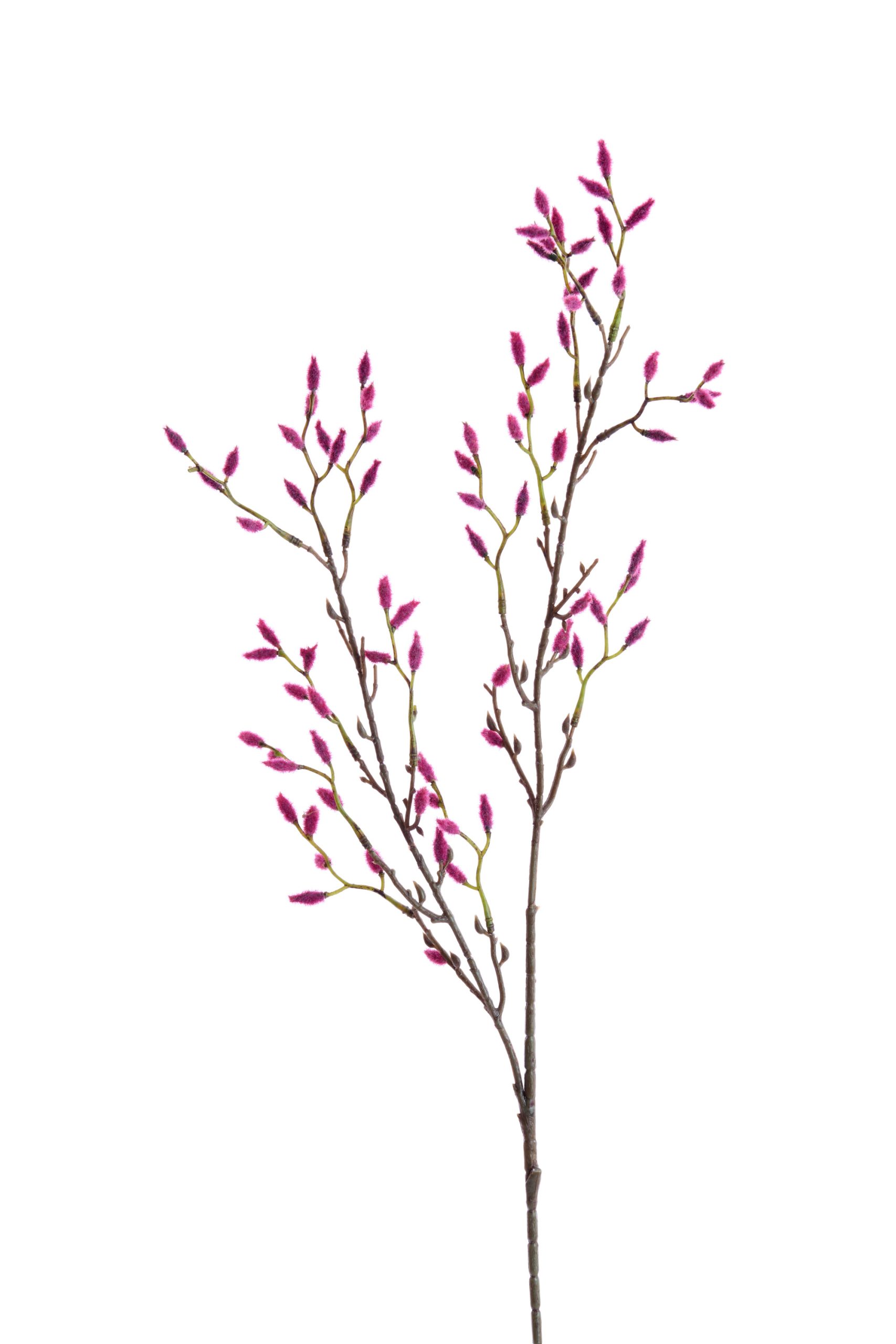 Light & Living Kunstbloem 90x20x5 cm CATKINS roze
