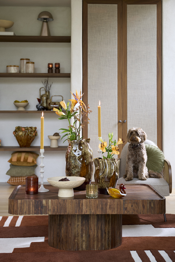 Light & Living Salontafel 120x70x42 cm KIOTO acacia hout bruin