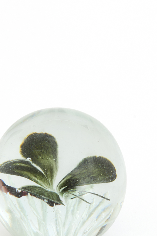 Light & Living Ornament Ø8x8 cm BUTTERFLY glas zwart