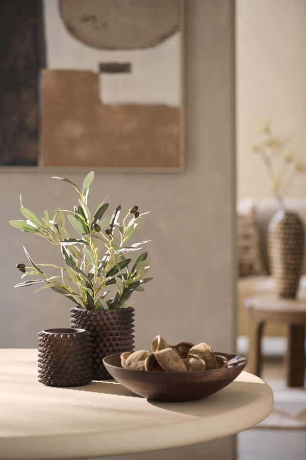 Light & Living Schaal Ø35x9 cm SIMNAS mango hout bruin