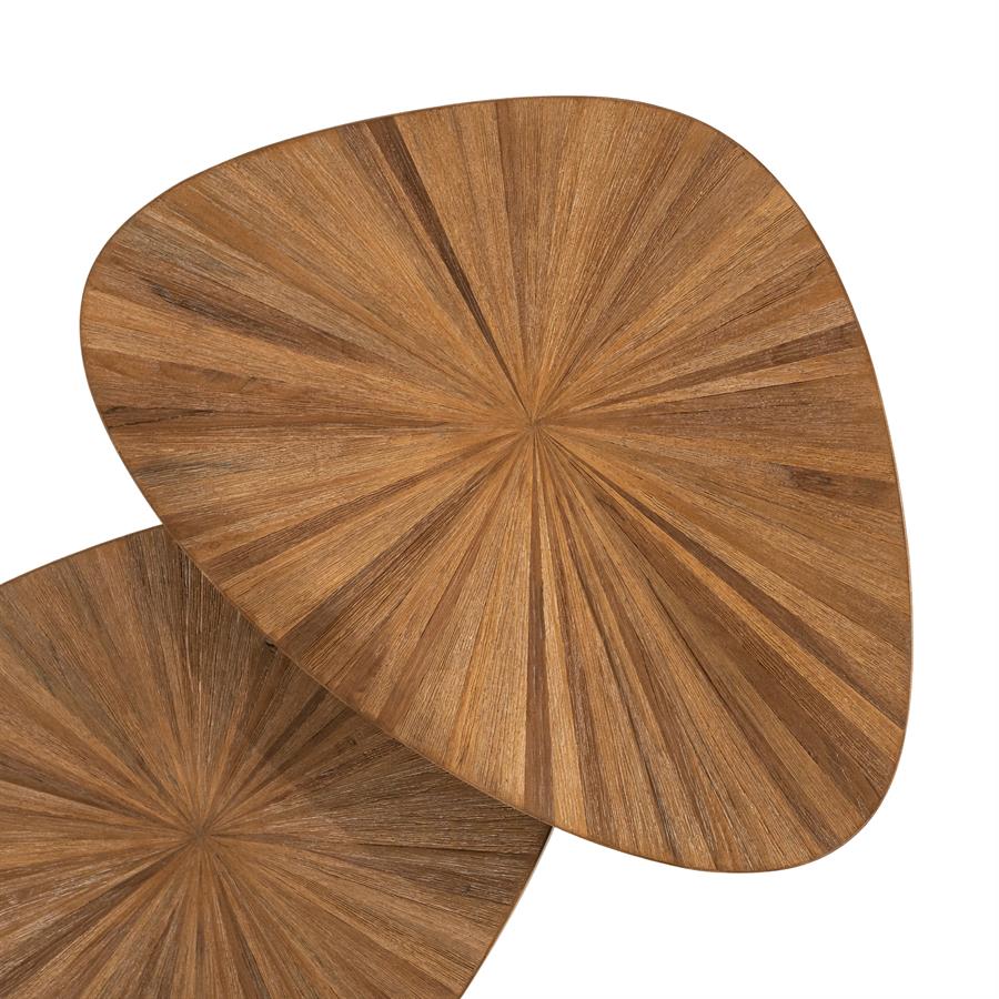 By-Boo Tala ( set of 2)