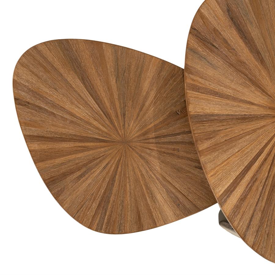 By-Boo Tala ( set of 2)