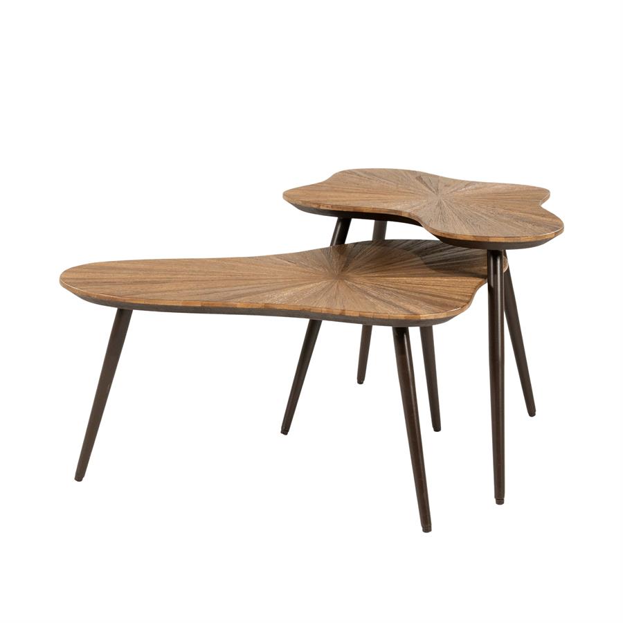 By-Boo Loma ( set of 2)