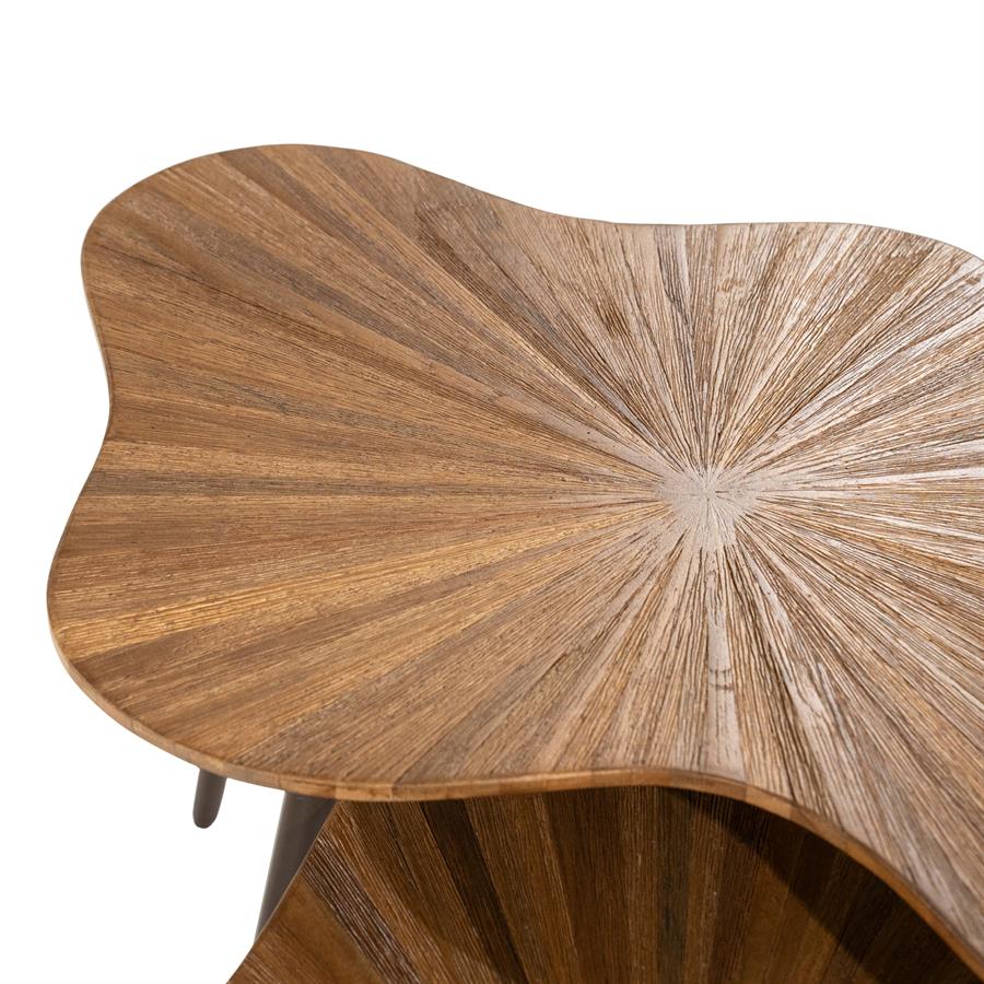 By-Boo Loma ( set of 2)