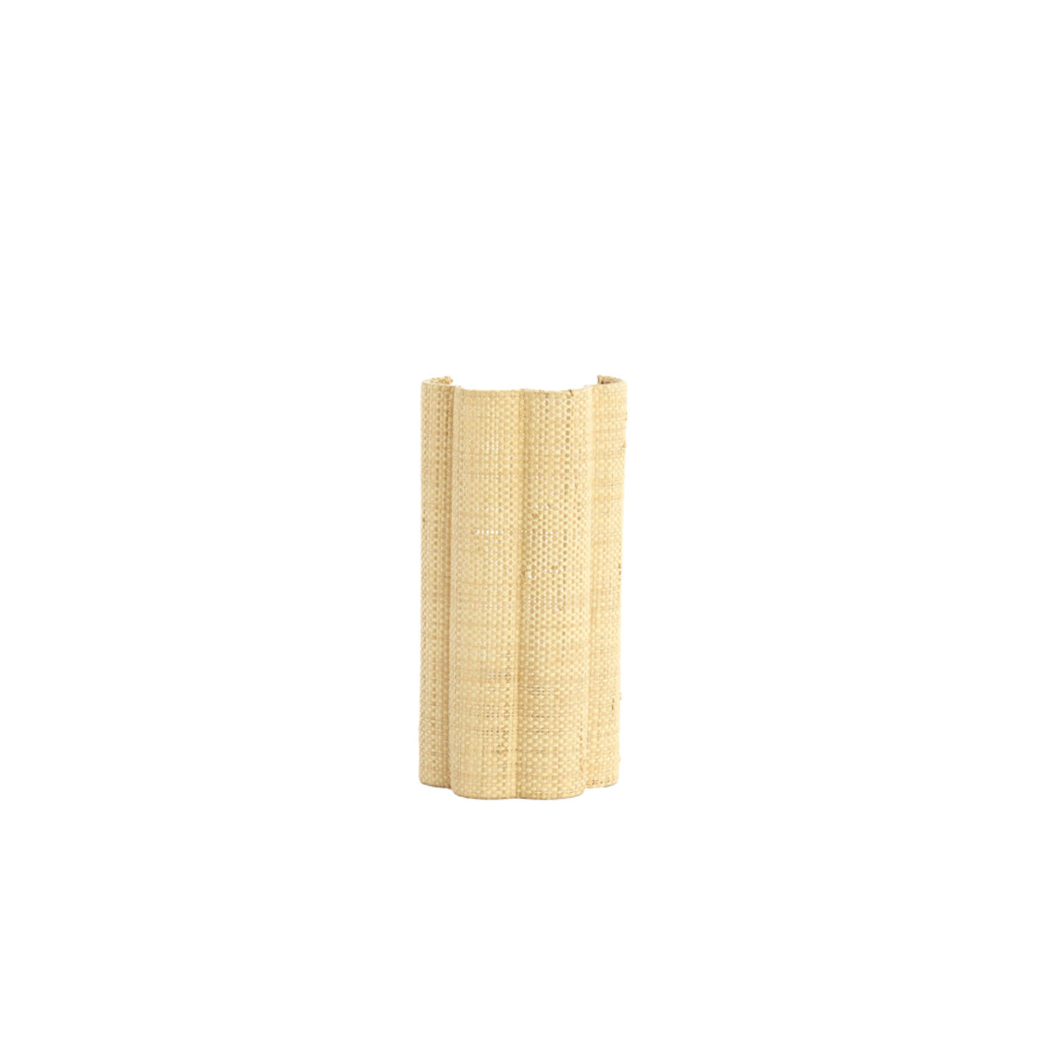 Light & Living Wandlamp E14 15x10x30,5 cm VERDANTIA raffia naturel