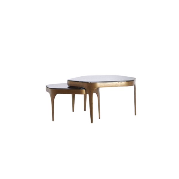 Light & Living Salontafel S/2 max 77x70x42 cm AVI glas smoke+antiek brons