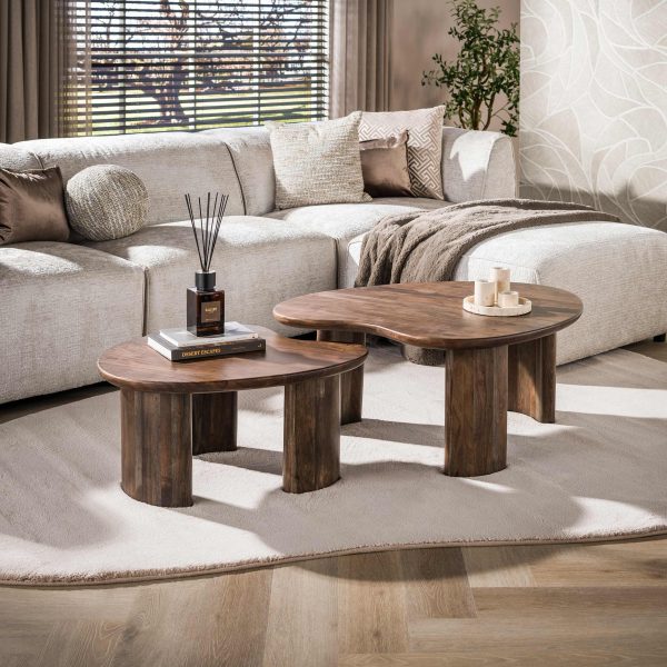 Zijlstra Salontafel Mova set/2