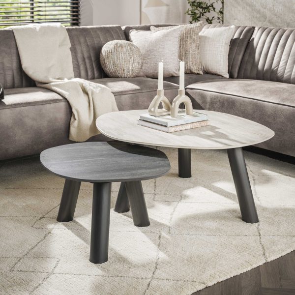 Zijlstra Salontafel Twin log set/2